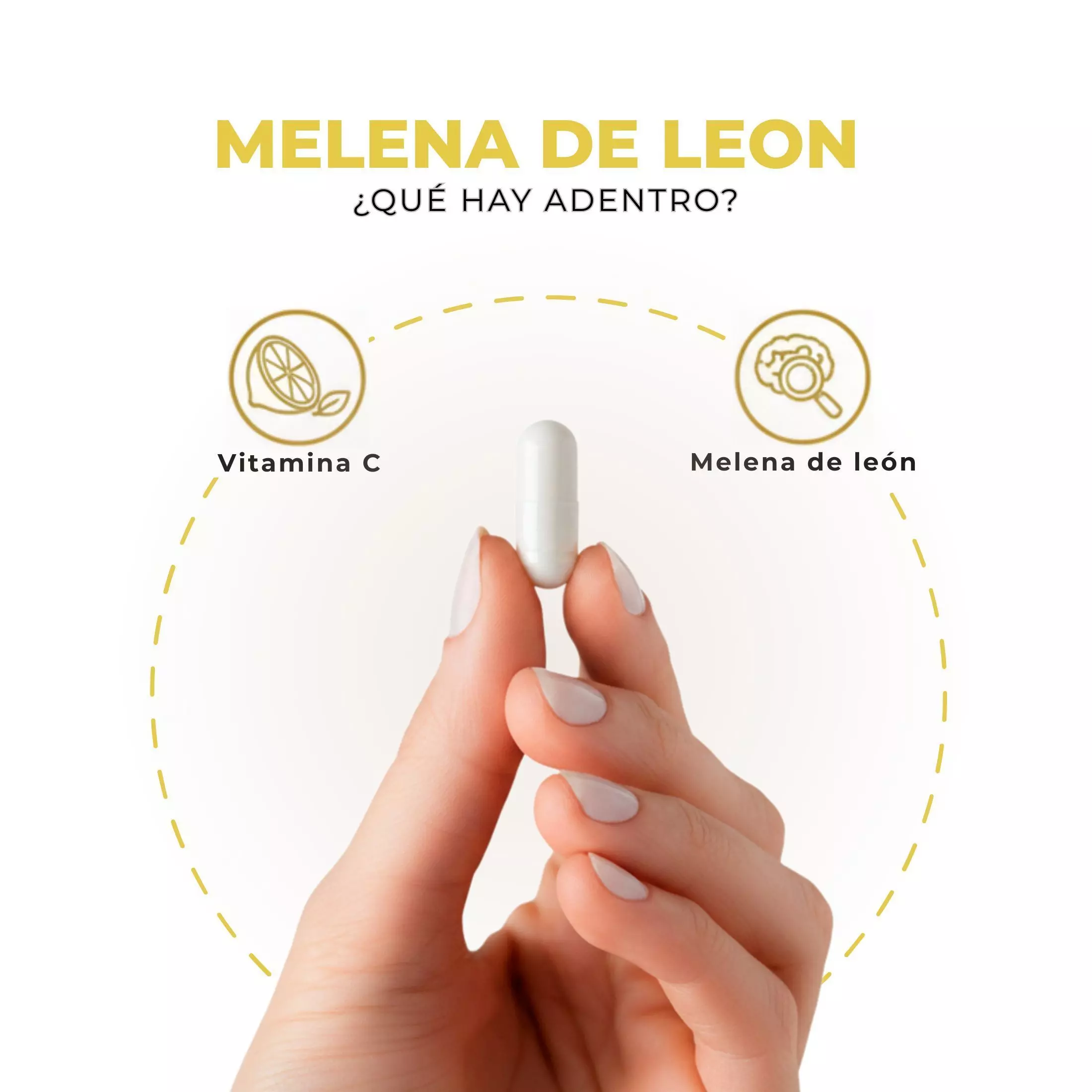 Pack 2 Melena De Leon Plus Hongo 180 Capsulas Nutrilife+ Sin Sabor Bienestar -5