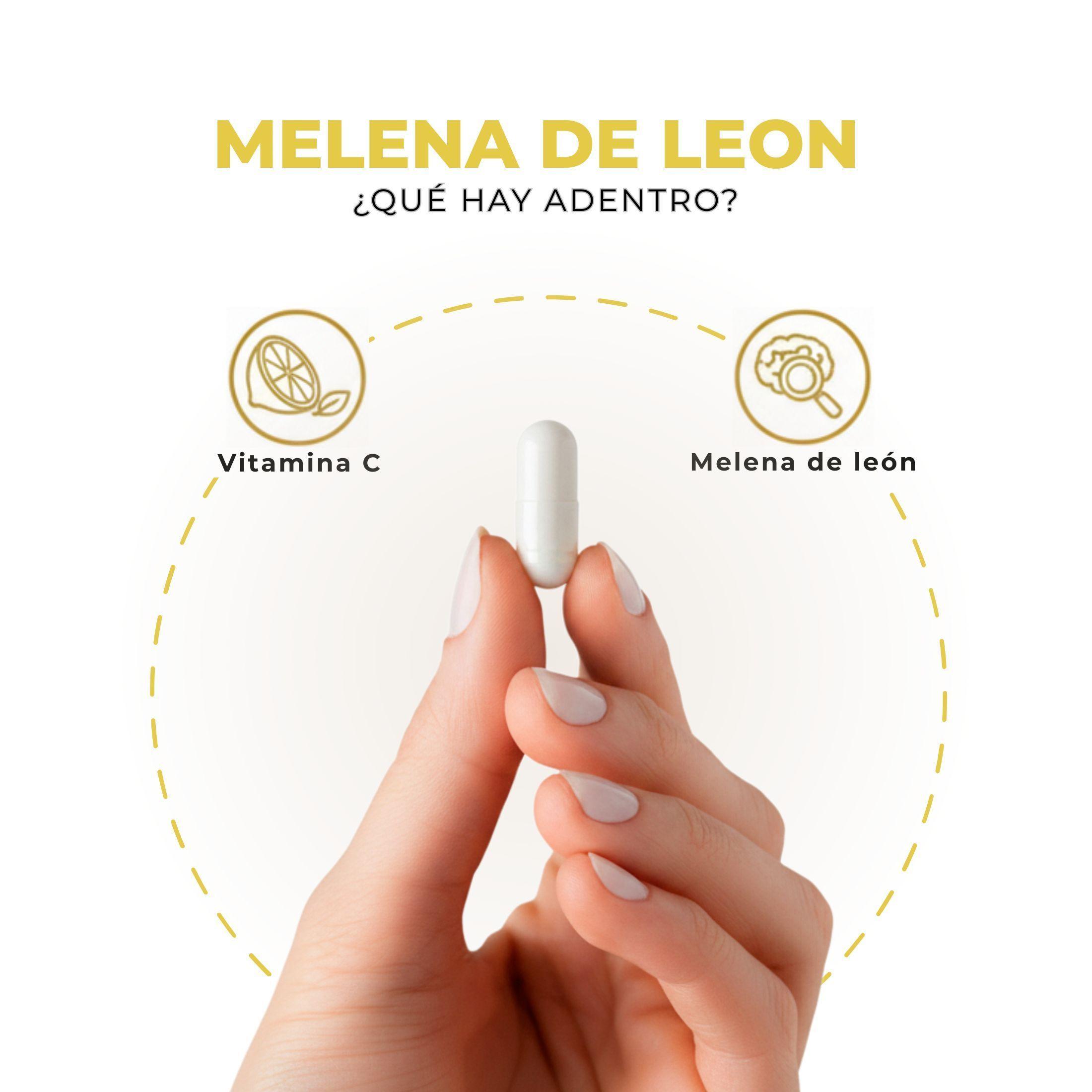 Melena De Leon Plus Hongo 90 Capsulas 500mg Nutrilife+ Sin Sabor Bienestar-5
