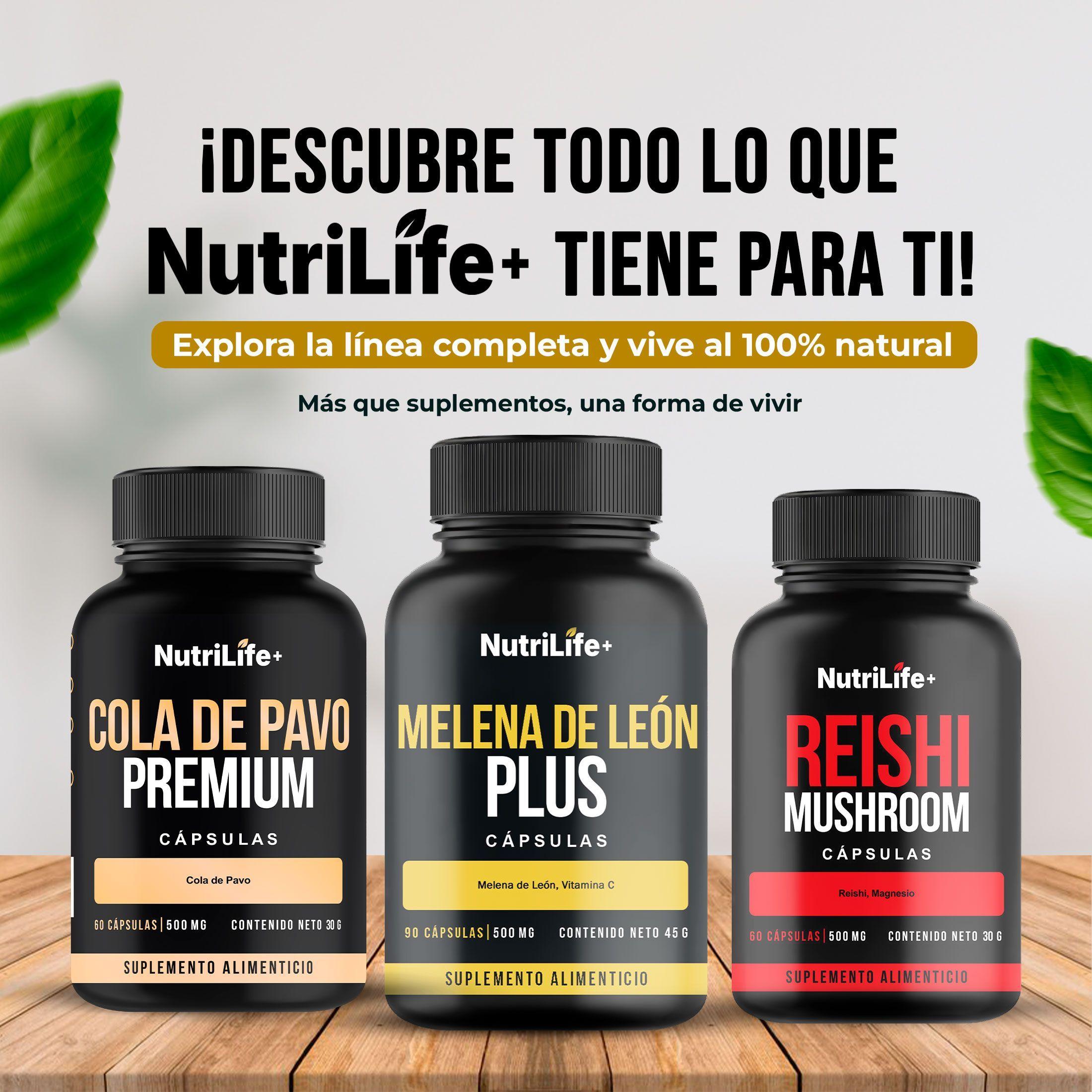 Melena De Leon Plus Hongo 90 Capsulas 500mg Nutrilife+ Sin Sabor Bienestar-8