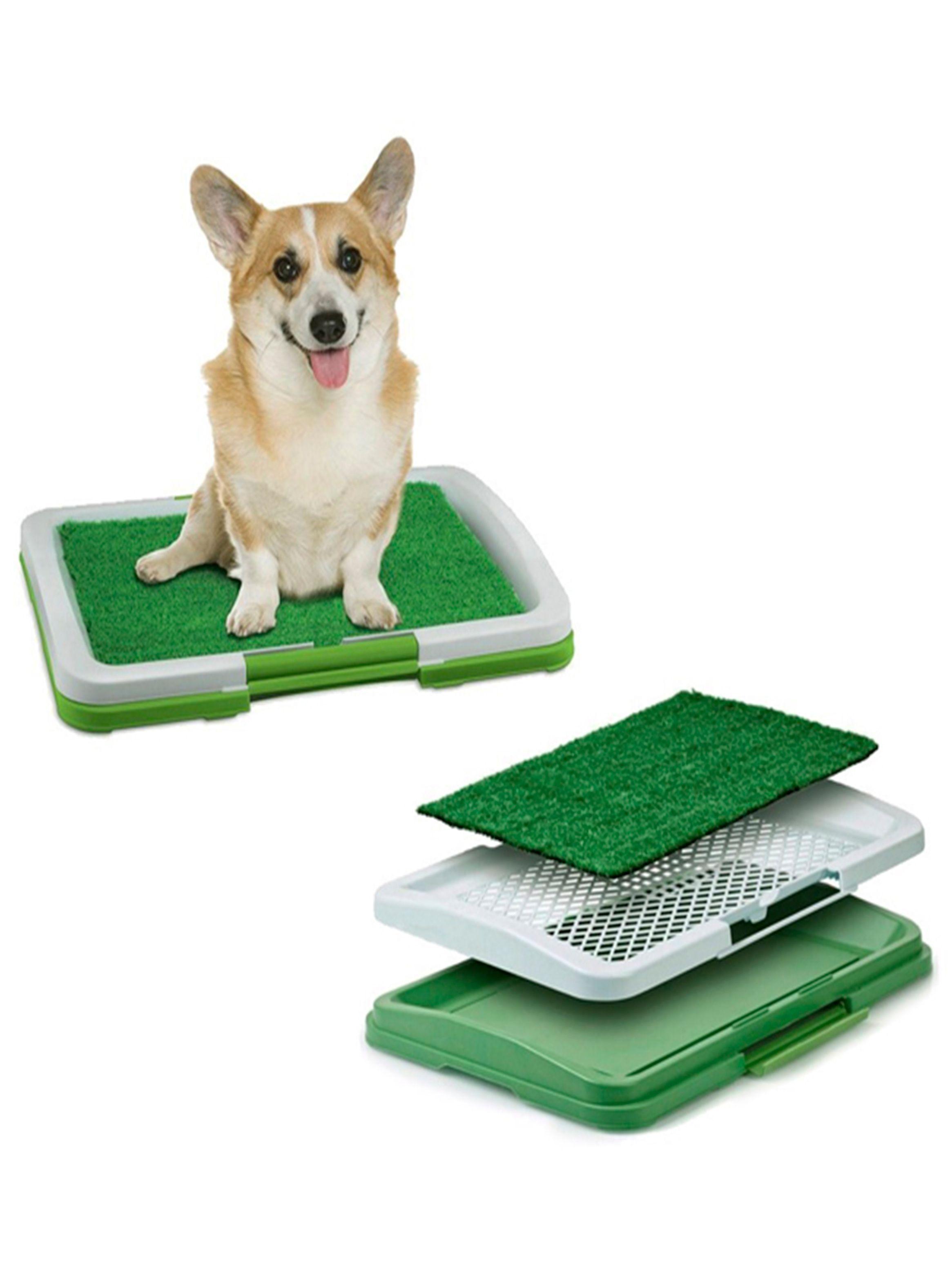 Baño sanitario ecologico para mascotas-1