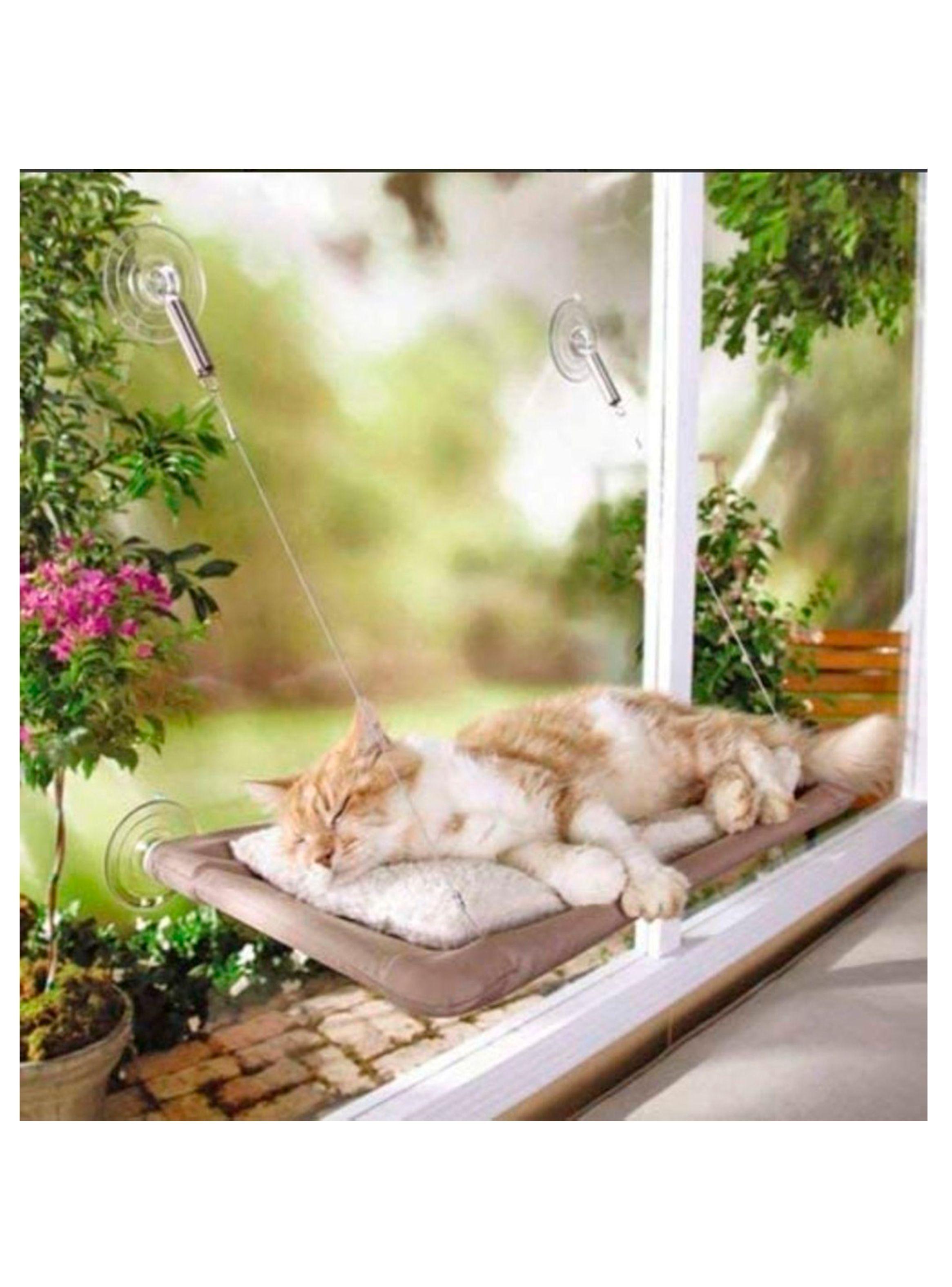Cama gatos plegable para ventana con soportes-1