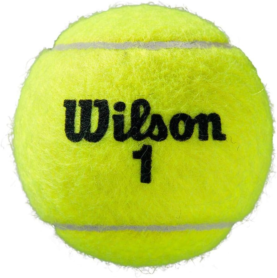 Pelotas Tenis Pelotas Padel Wilson Roland Garros Tarro 3 Uni-3