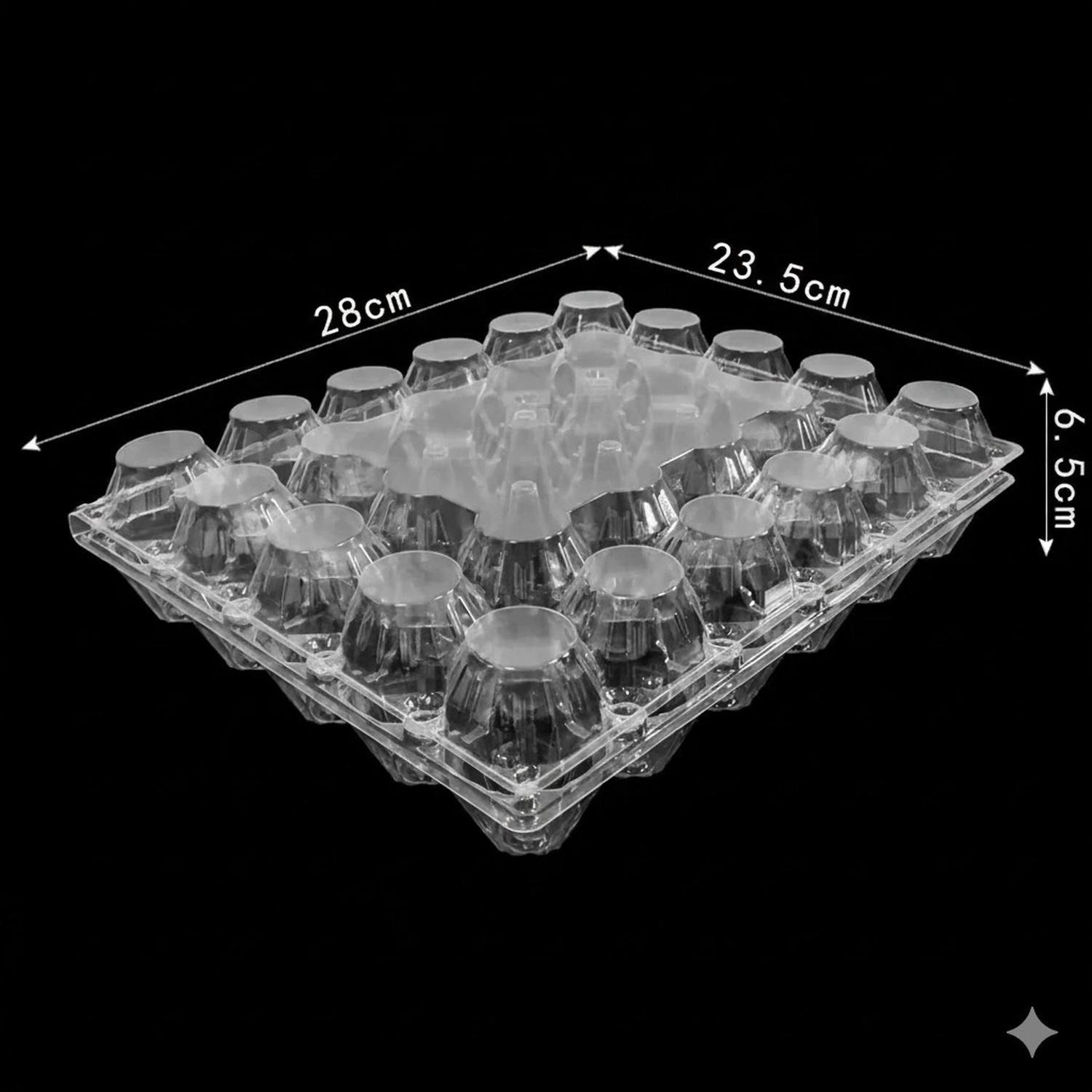Pack 50 Bandejas Plásticas Para 30 Huevos Transparente PET-2