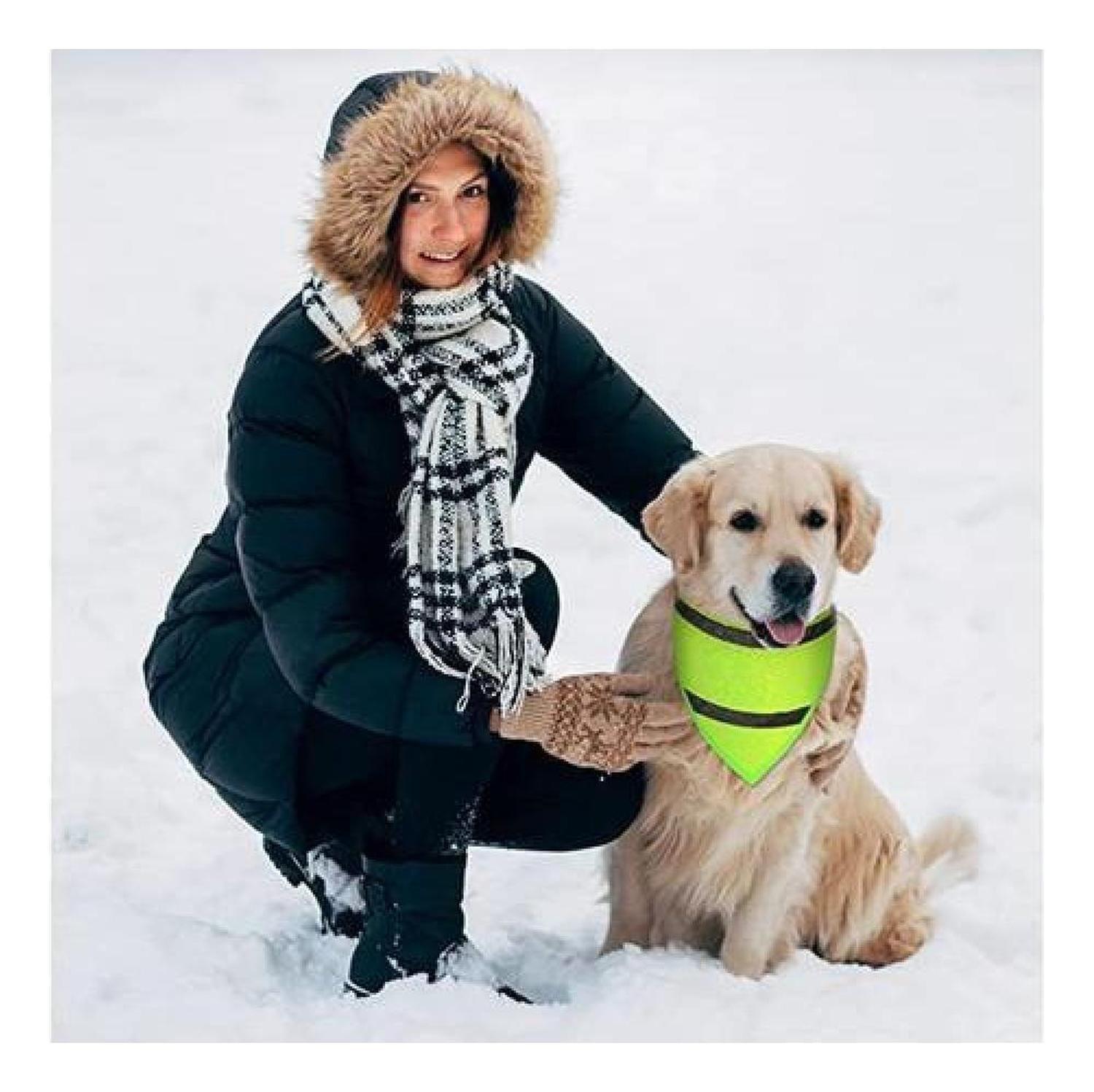 Bandana Reflectante Para Perros Y Gatos. Pañoleta De Mascota-4