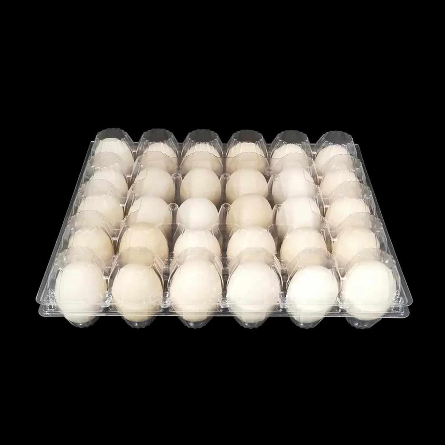 Pack 25 Bandejas Hueveras Plásticas Transparentes 30 Huevos-3