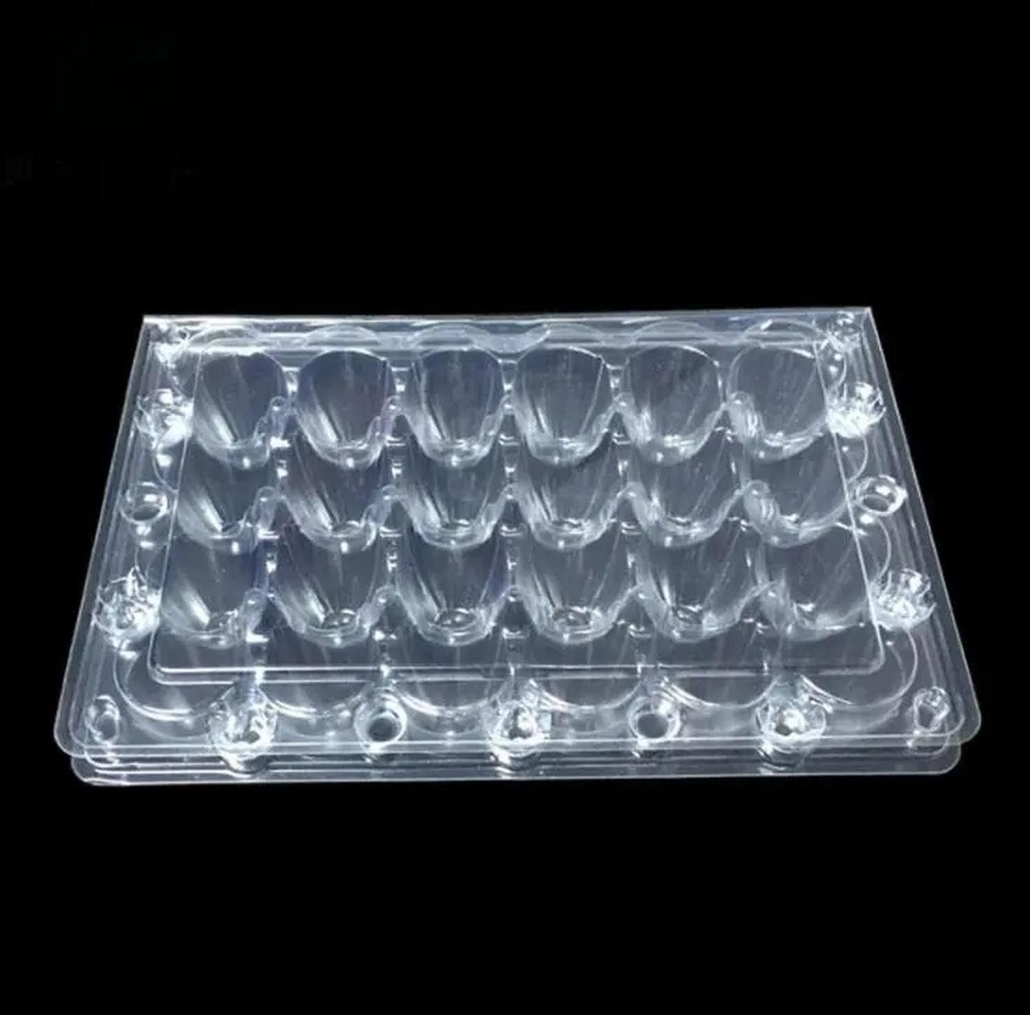 Pack 600 Cajas Bandejas de Plástico de 24 Huevos de Codorniz-7