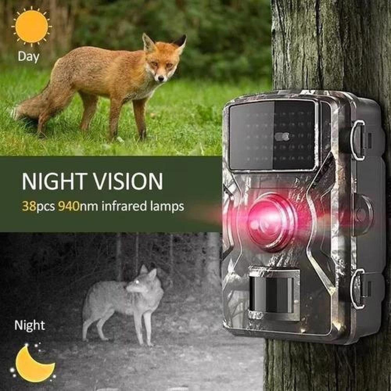 Cámara Caza Trampa Nocturna Video Full Hd Rastreo 16mp 1080p - Verde Oscuro-5