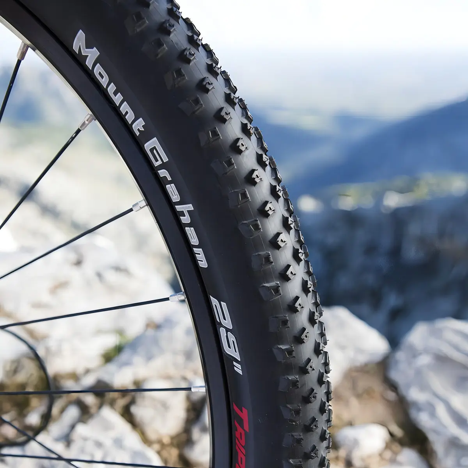 Neumatico 29x2.20 Arisun Mount Graham Kevlar TR Bicicleta-3