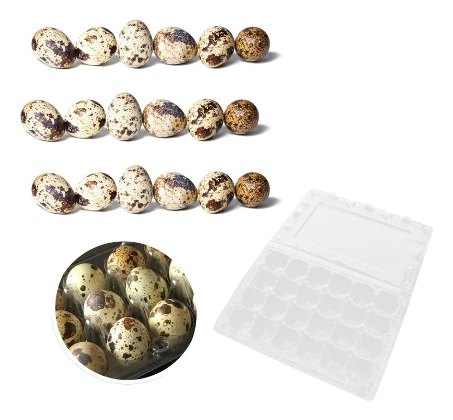 Pack 50 Cajas Bandejas De Plástico De 24 Huevos De Codorniz-6