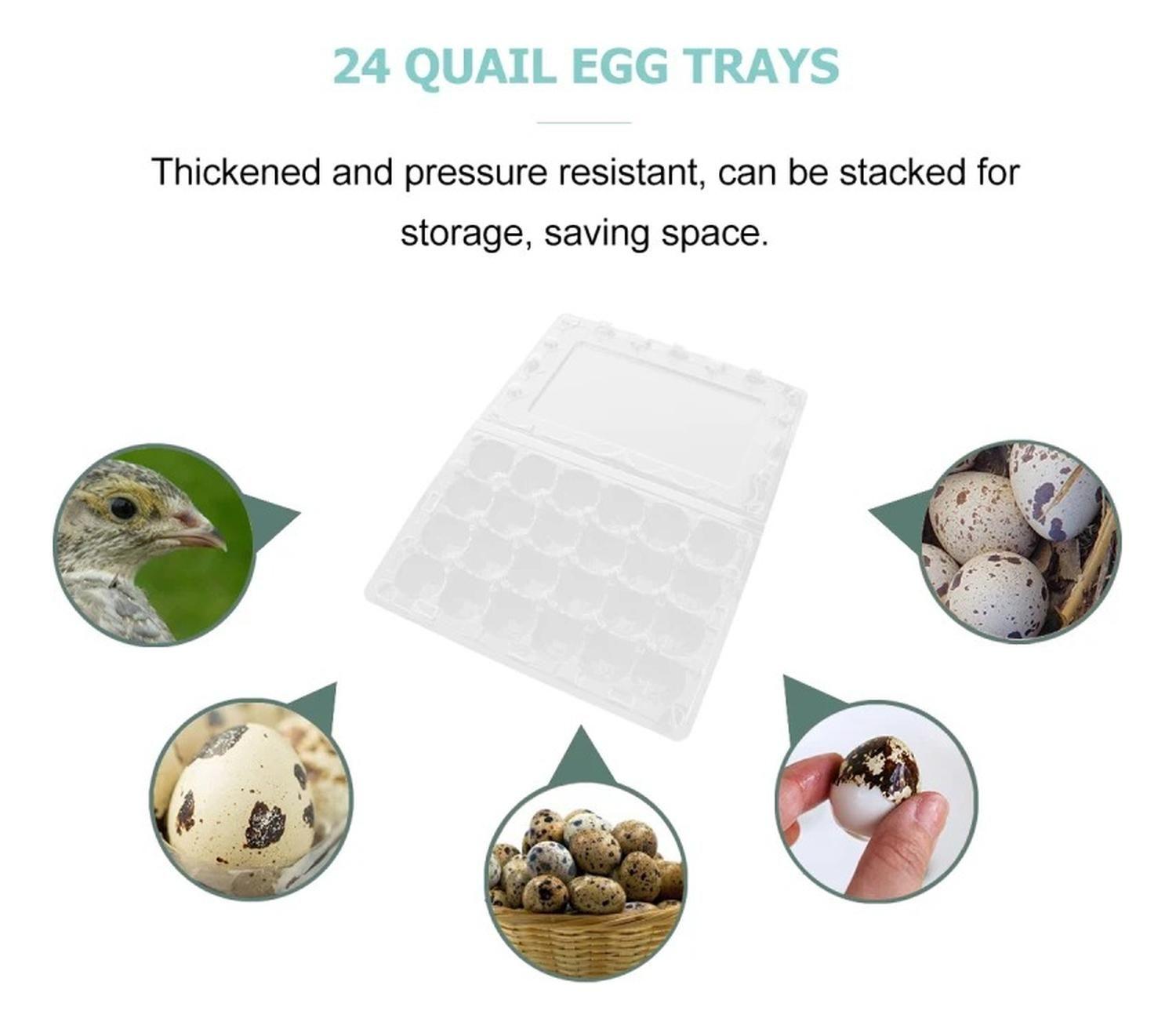 Pack 50 Cajas Bandejas De Plástico De 24 Huevos De Codorniz-9