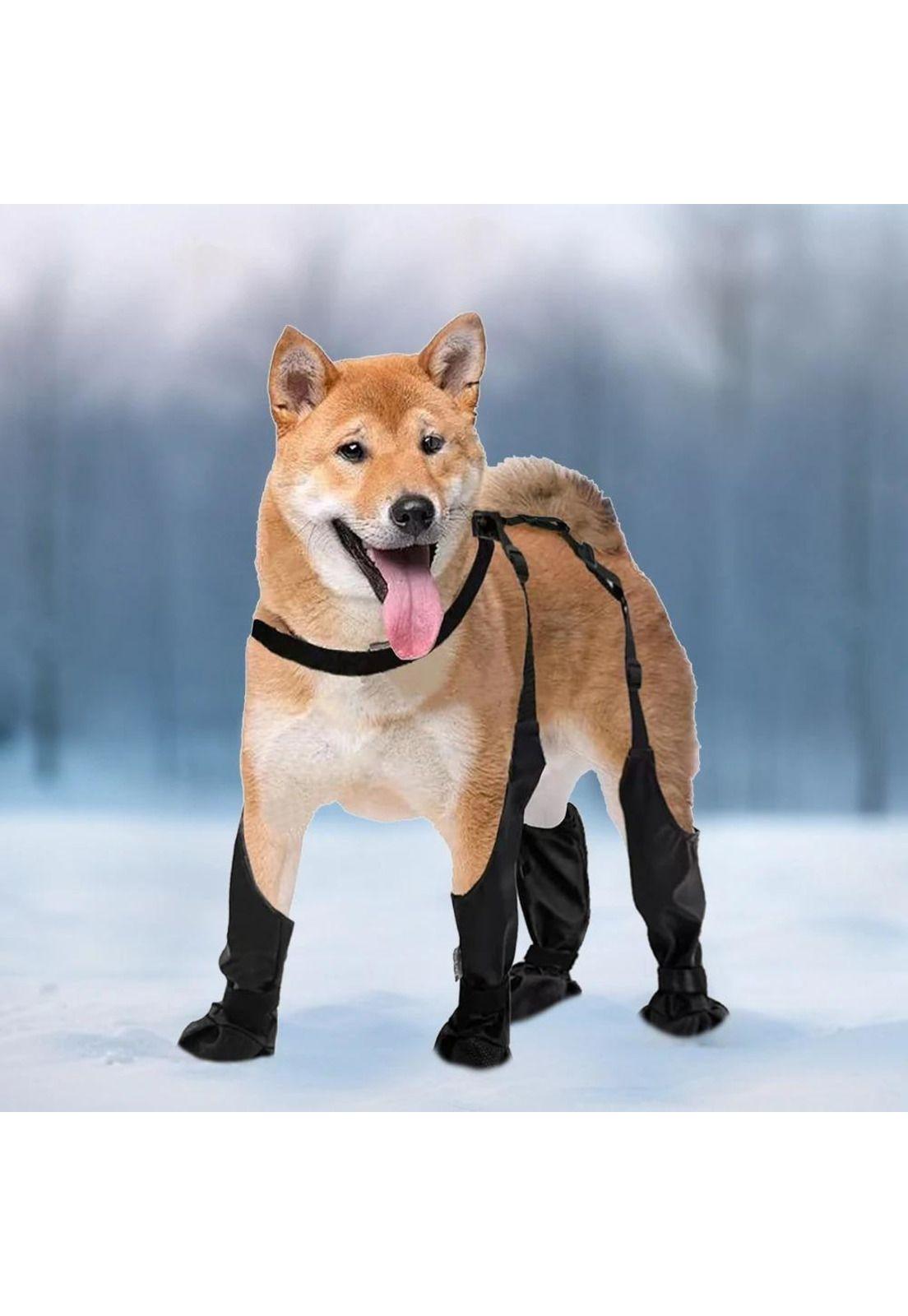Botas Impermeables Perro Antideslizante Lluvia Agua-2