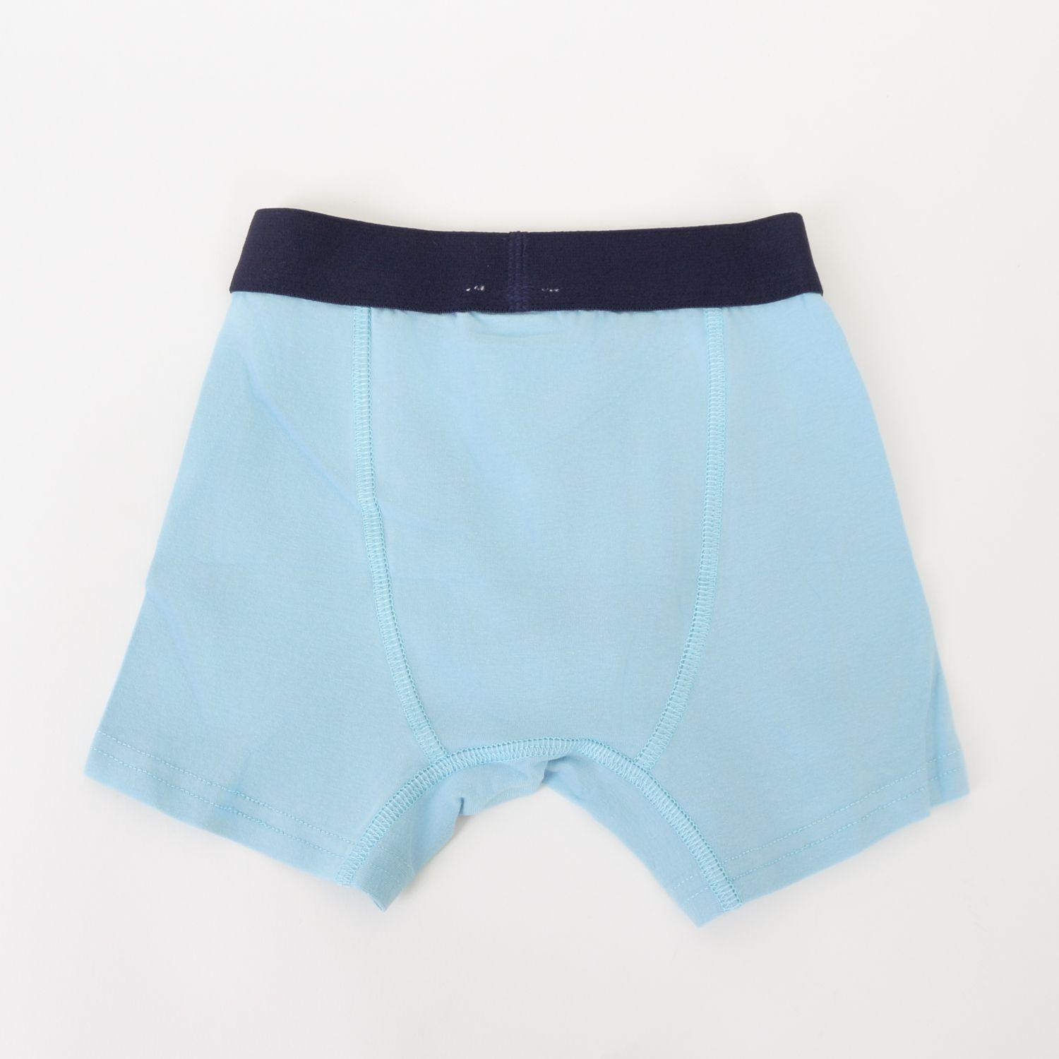 Tripack Bóxer Niño Celeste Full Print Bluey-6