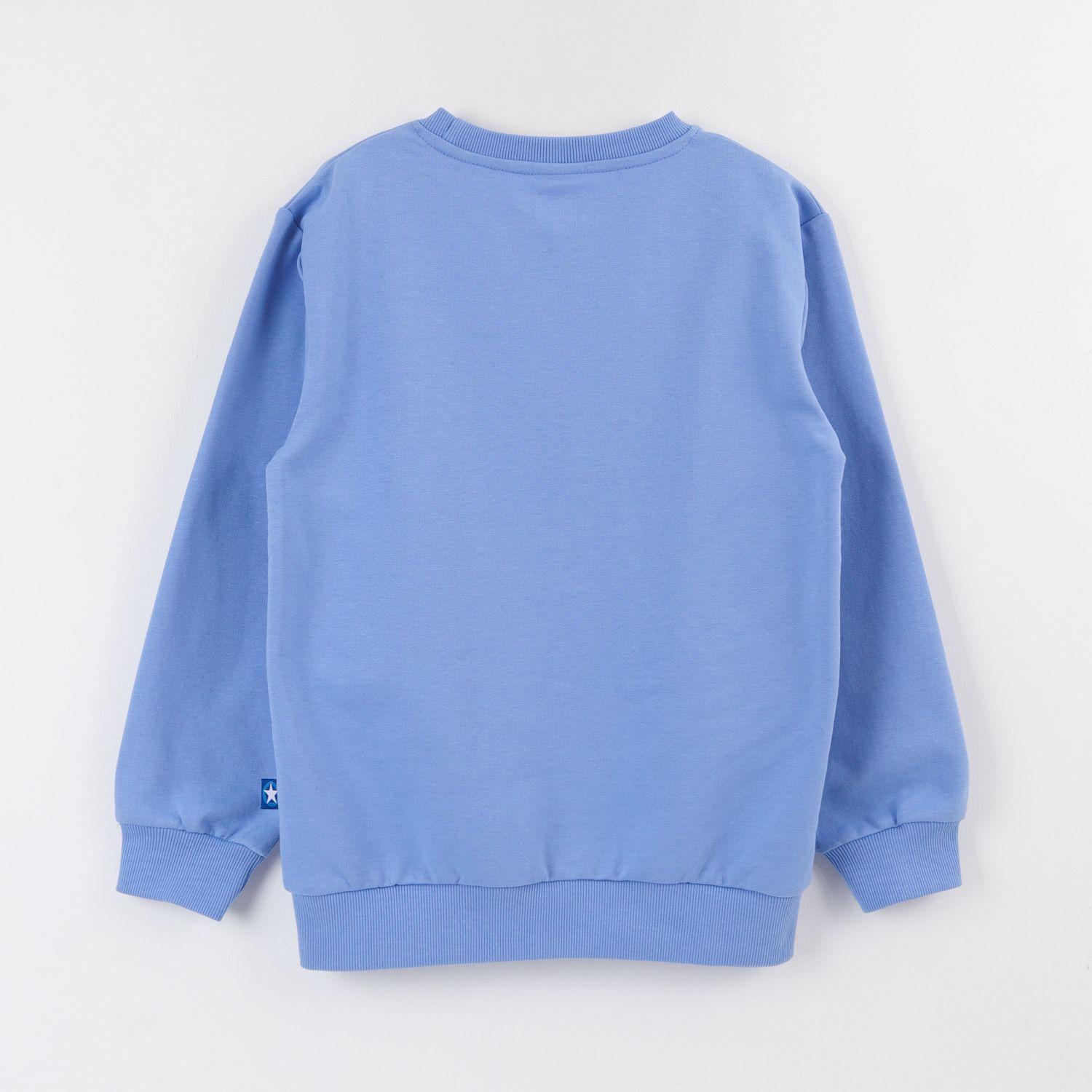 Polerón Cerrado Niño Azul Personaje Grande Sonic-1