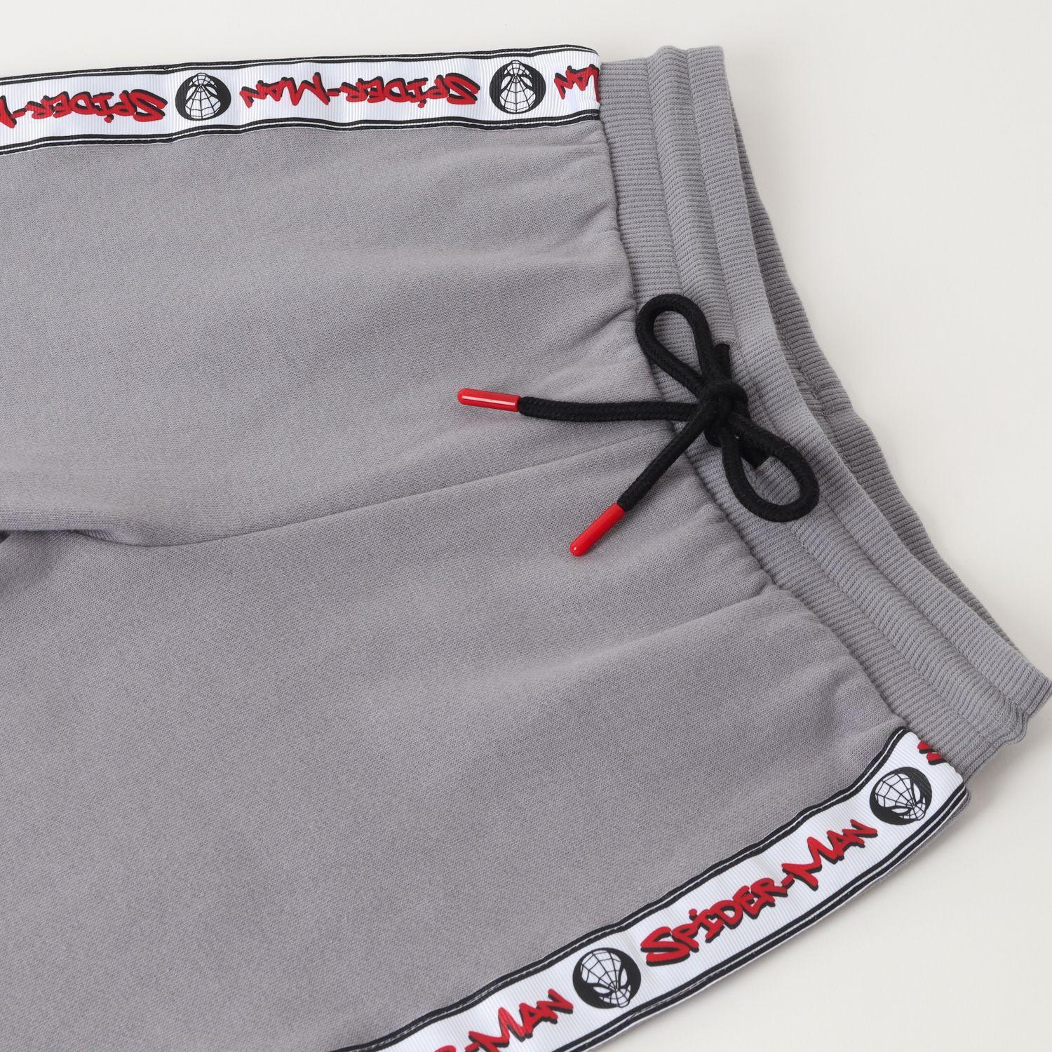 Buzo Niño Spiderman Line Of Letters Gris Marvel-2