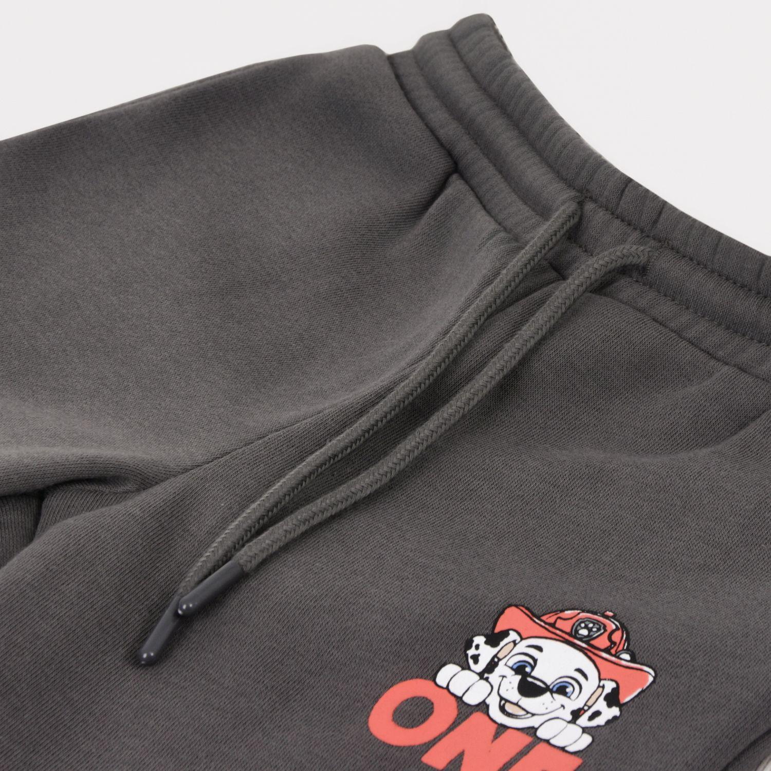 Conjunto Buzo Niño Full Print Friends Gris Paw Patrol-3