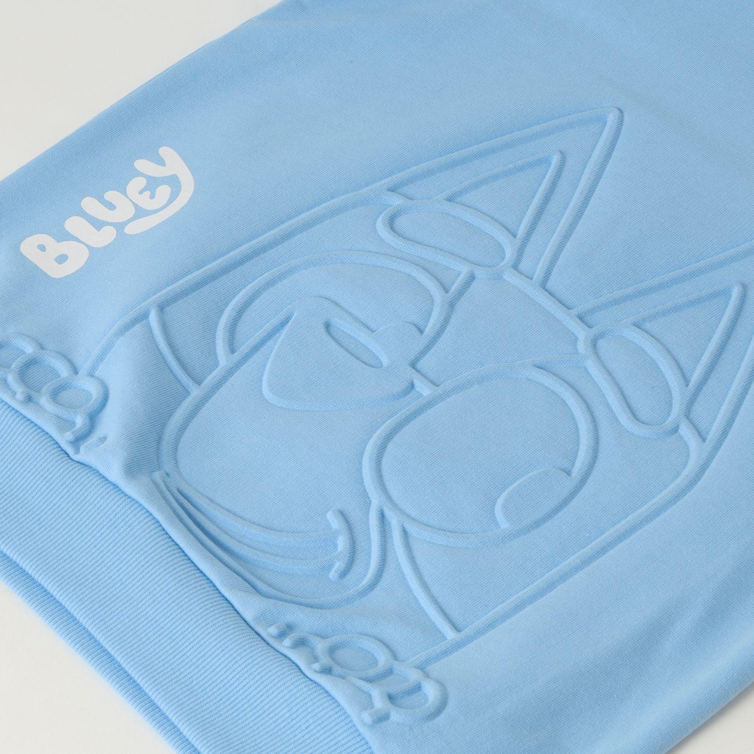 Poleron Cerrado Niño Relieve Emboss Celeste Bluey-1