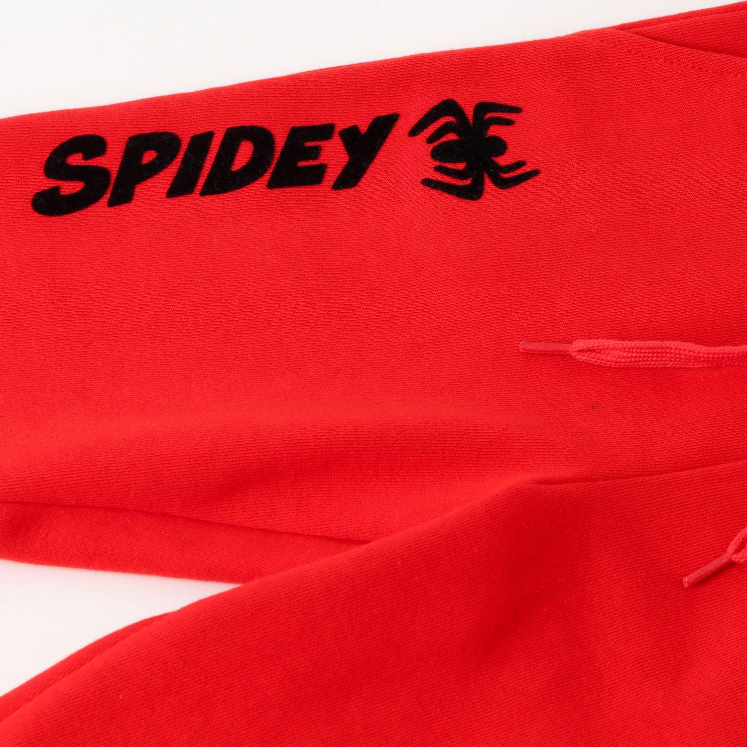 Conjunto Niño Spidey Swinging Gris Marvel-2