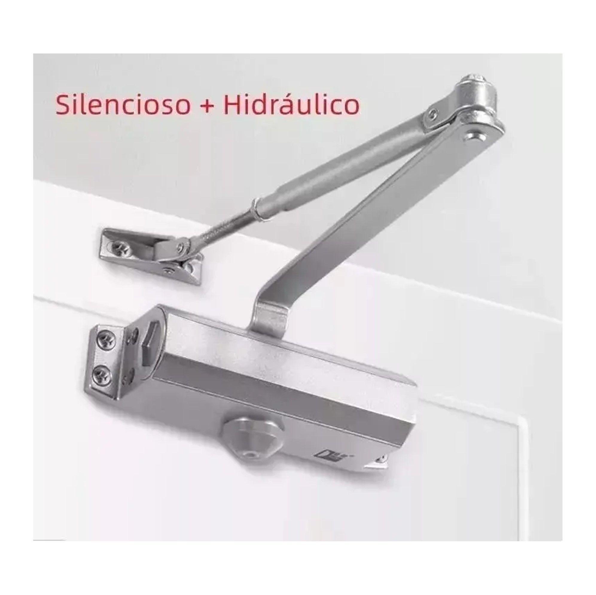 CIERRAPUERTAS HIDRAULICO BRAZO CIERRA PUERTA AEREO 90 120KG-2