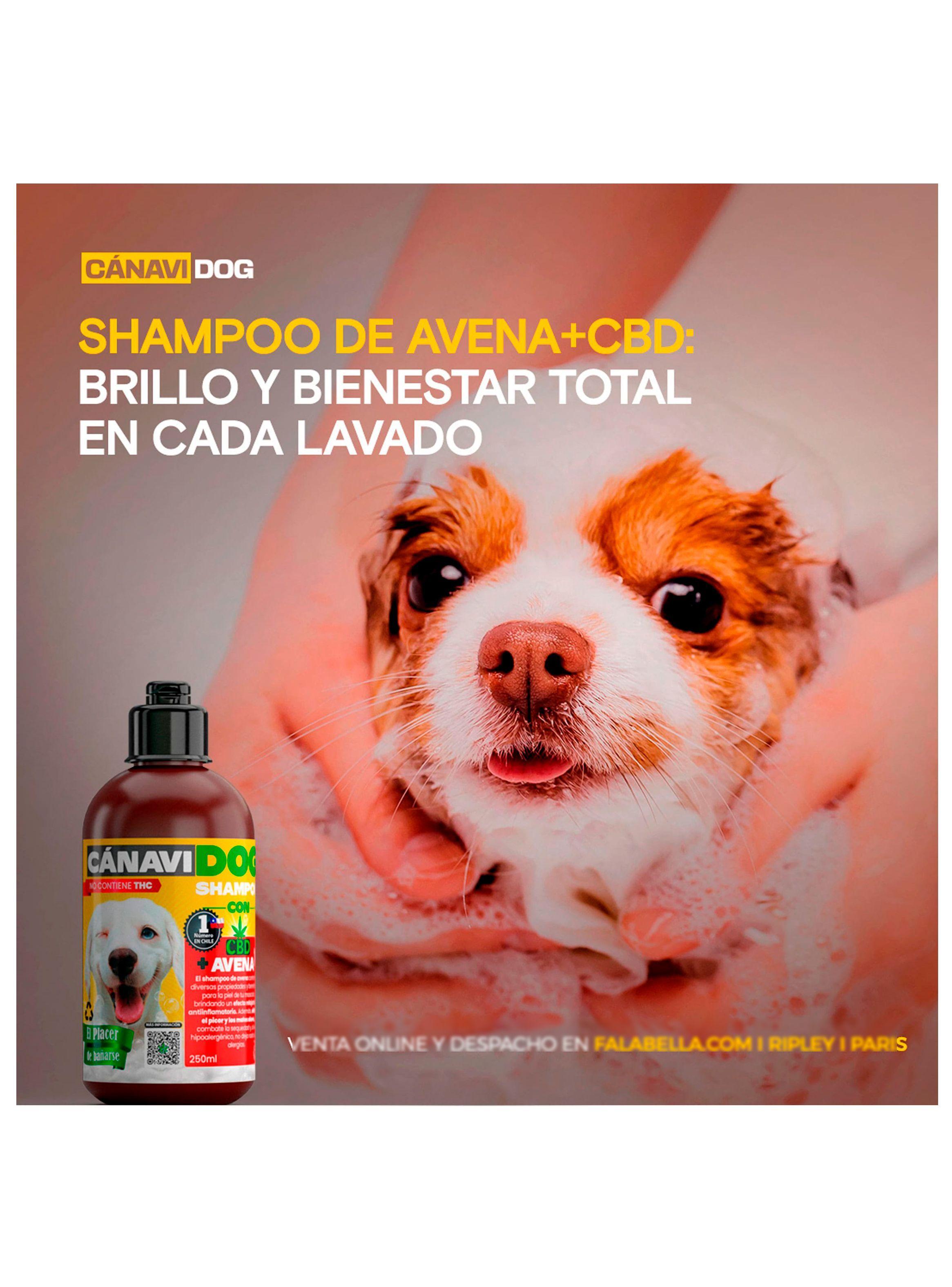 pack Shampoo avena más Crema Peinado-7