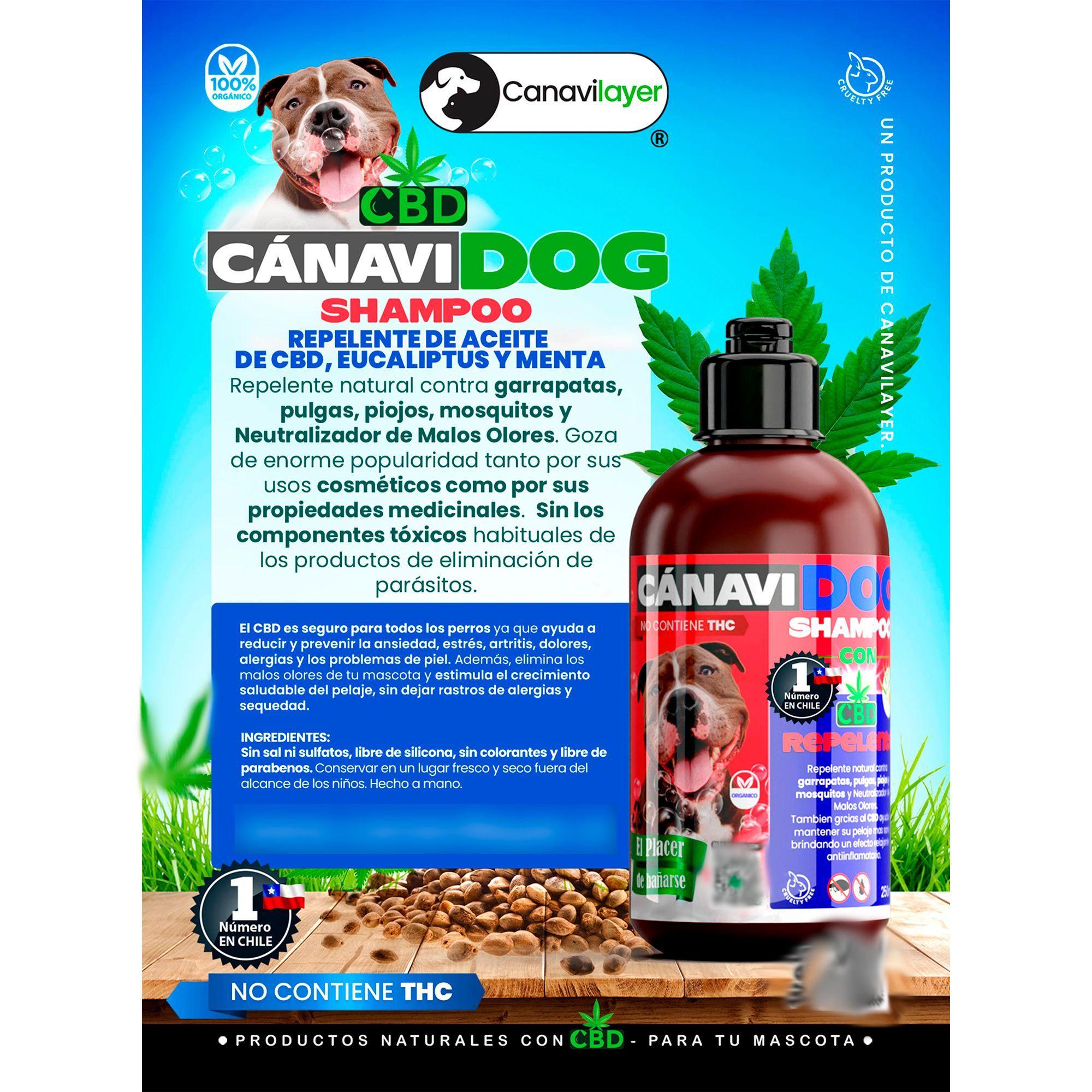 Shampoo Aseites Esenciales, Eucaliptus y Menta-1