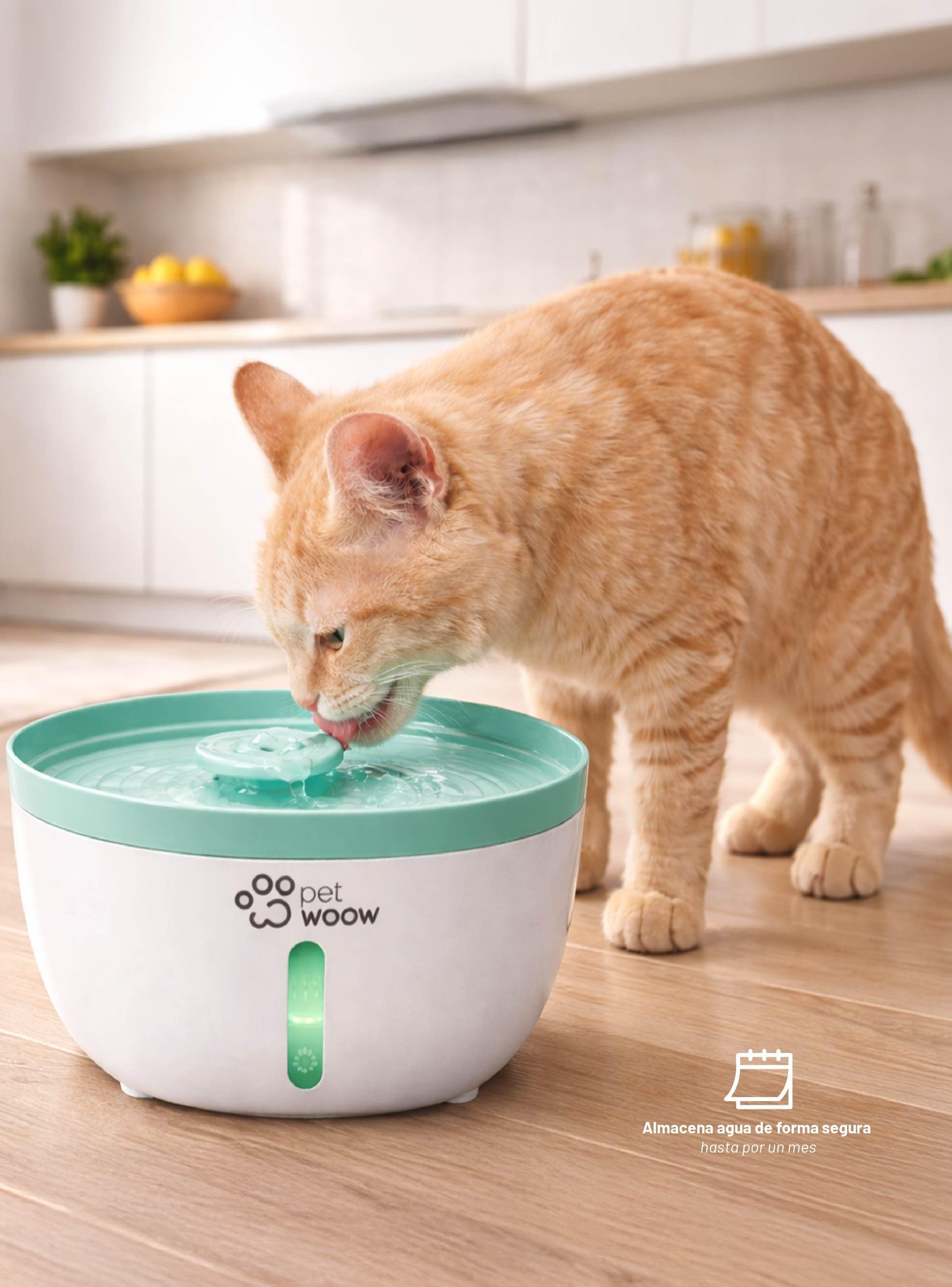 Bebedero o Fuente de Agua para Perros y Gatos Verde Petwoow-6