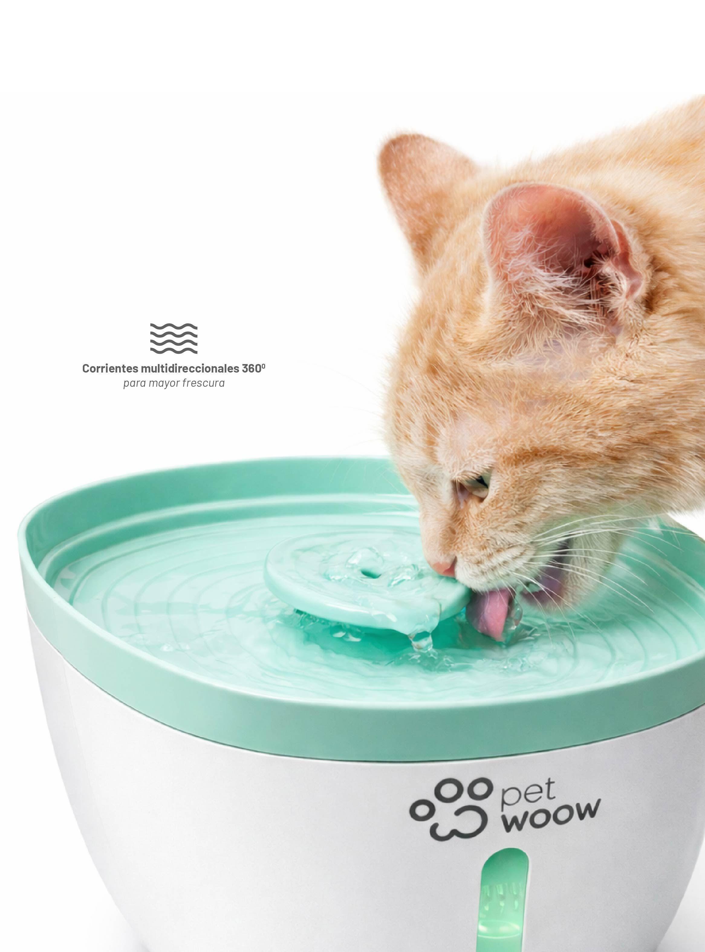 Bebedero o Fuente de Agua para Perros y Gatos Verde Petwoow-5