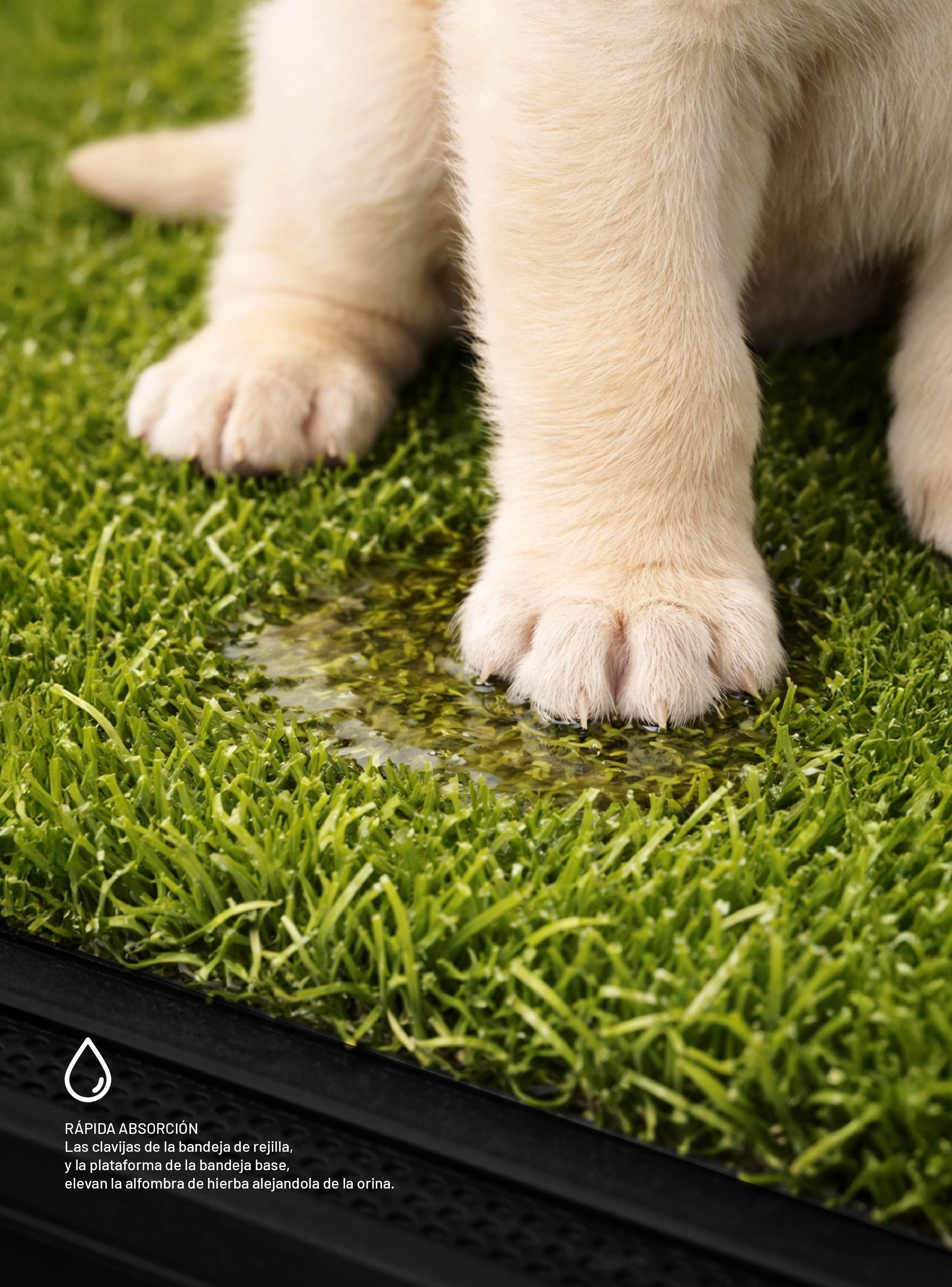 Baño Reutilizable ecológico para perros o gatos Talla XXL Medidas 75x50 cm-5