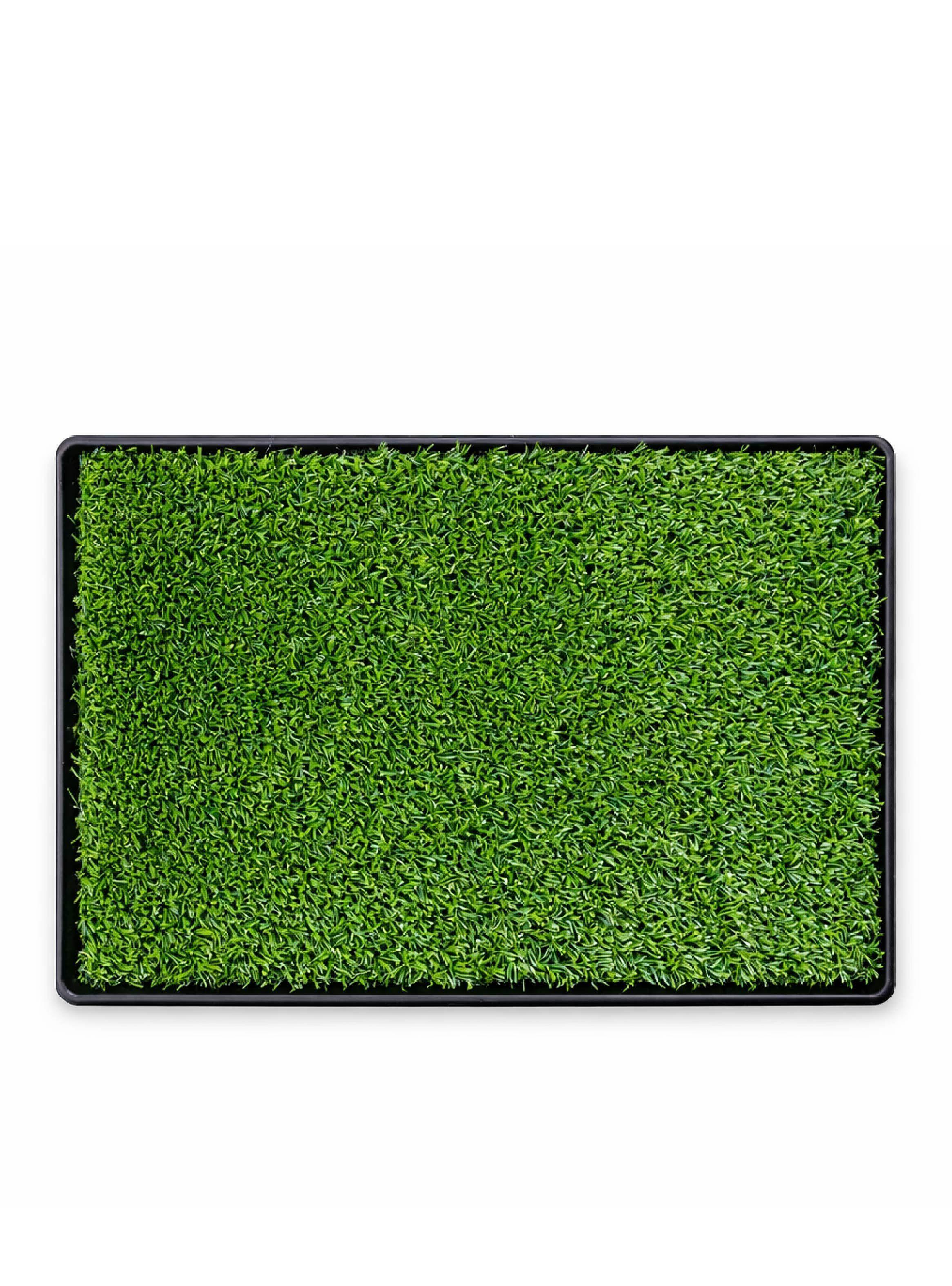 Baño Reutilizable ecológico para perros o gatos Talla XXL Medidas 75x50 cm-2