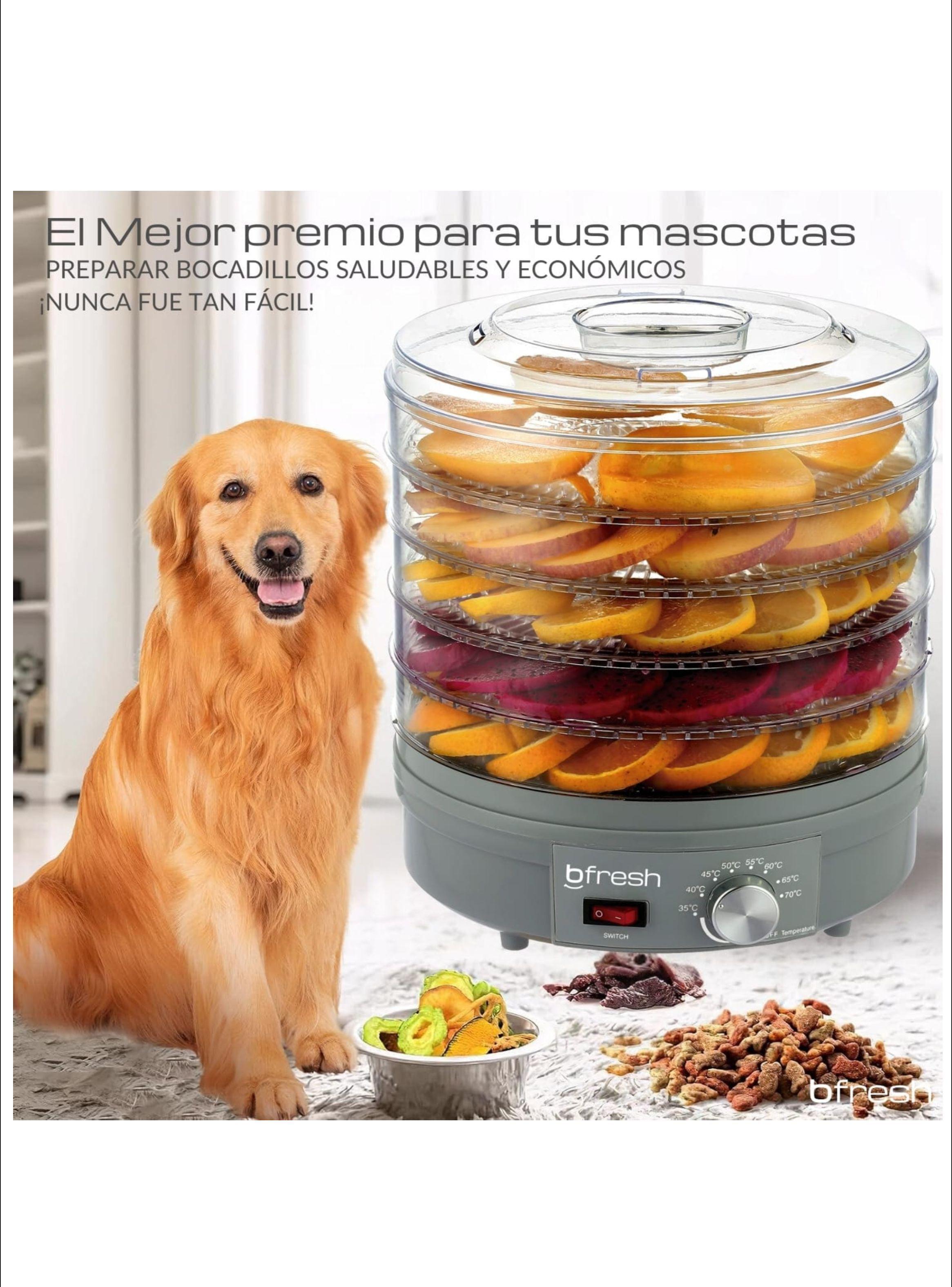 Deshidratador de frutas y alimentos Dry Fit Gris-6