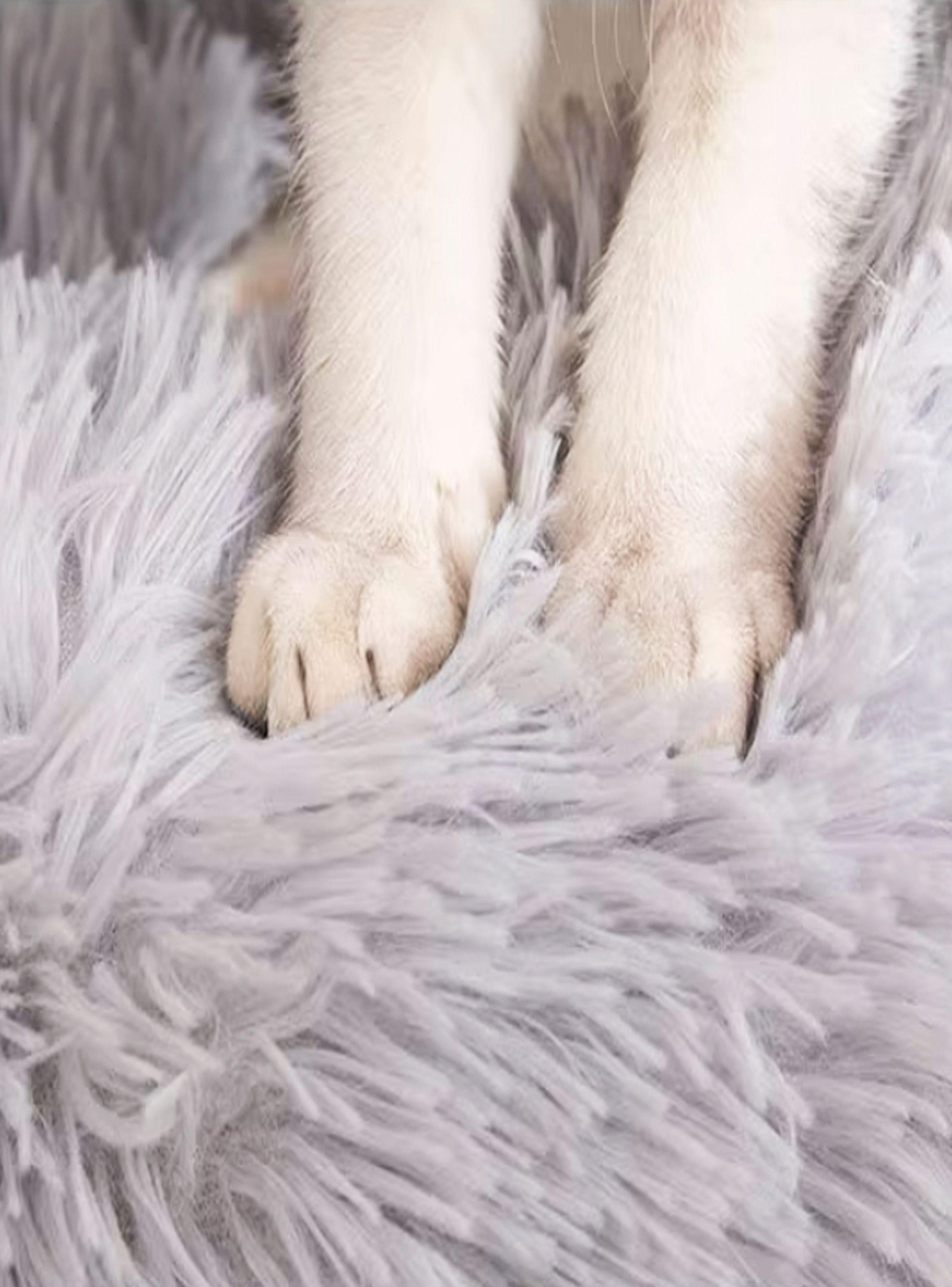 Cama para mascotas perros y gatos 76x76x17 cm gris claro-5