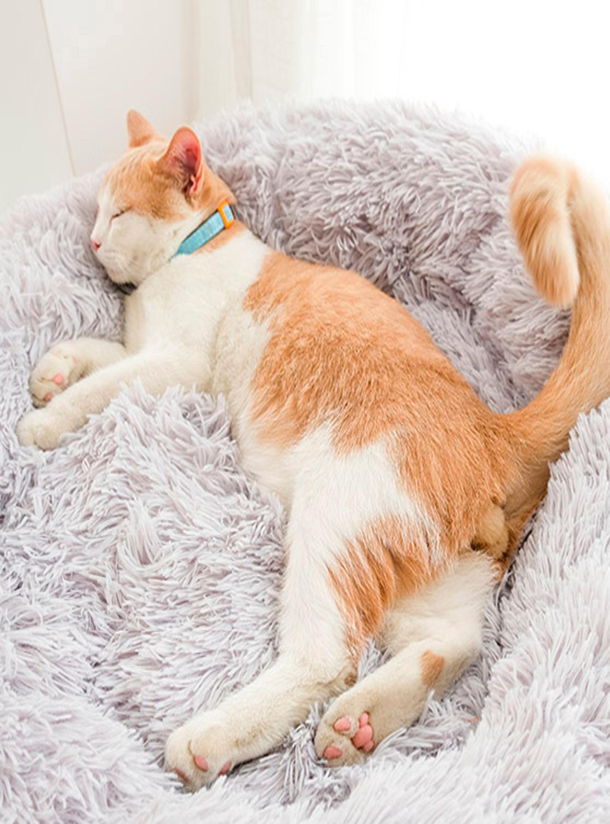 Cama para mascotas perros y gatos 76x76x17 cm gris claro-6