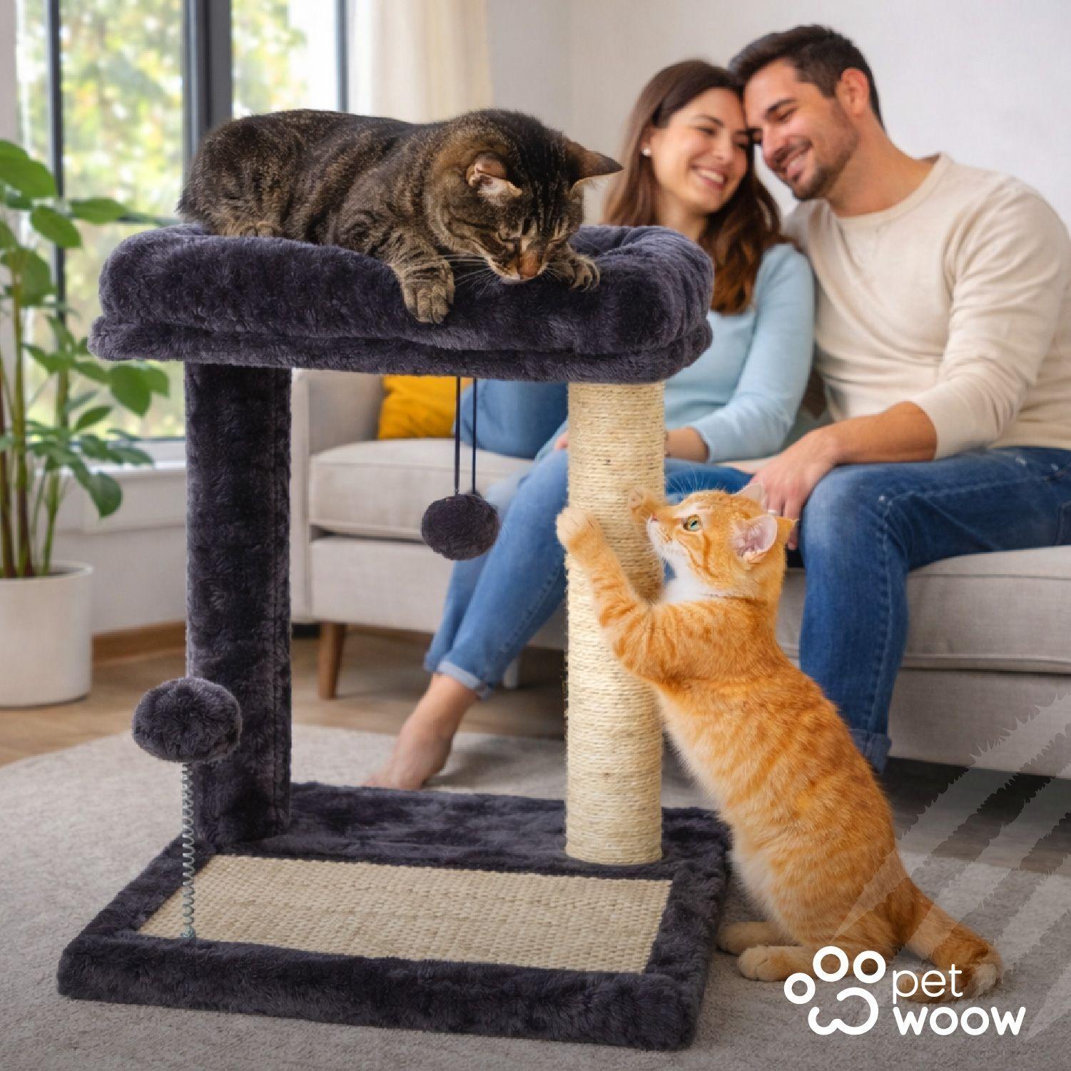 Rascador De Gatos Con Juguete Y Cama 44x40x40-6