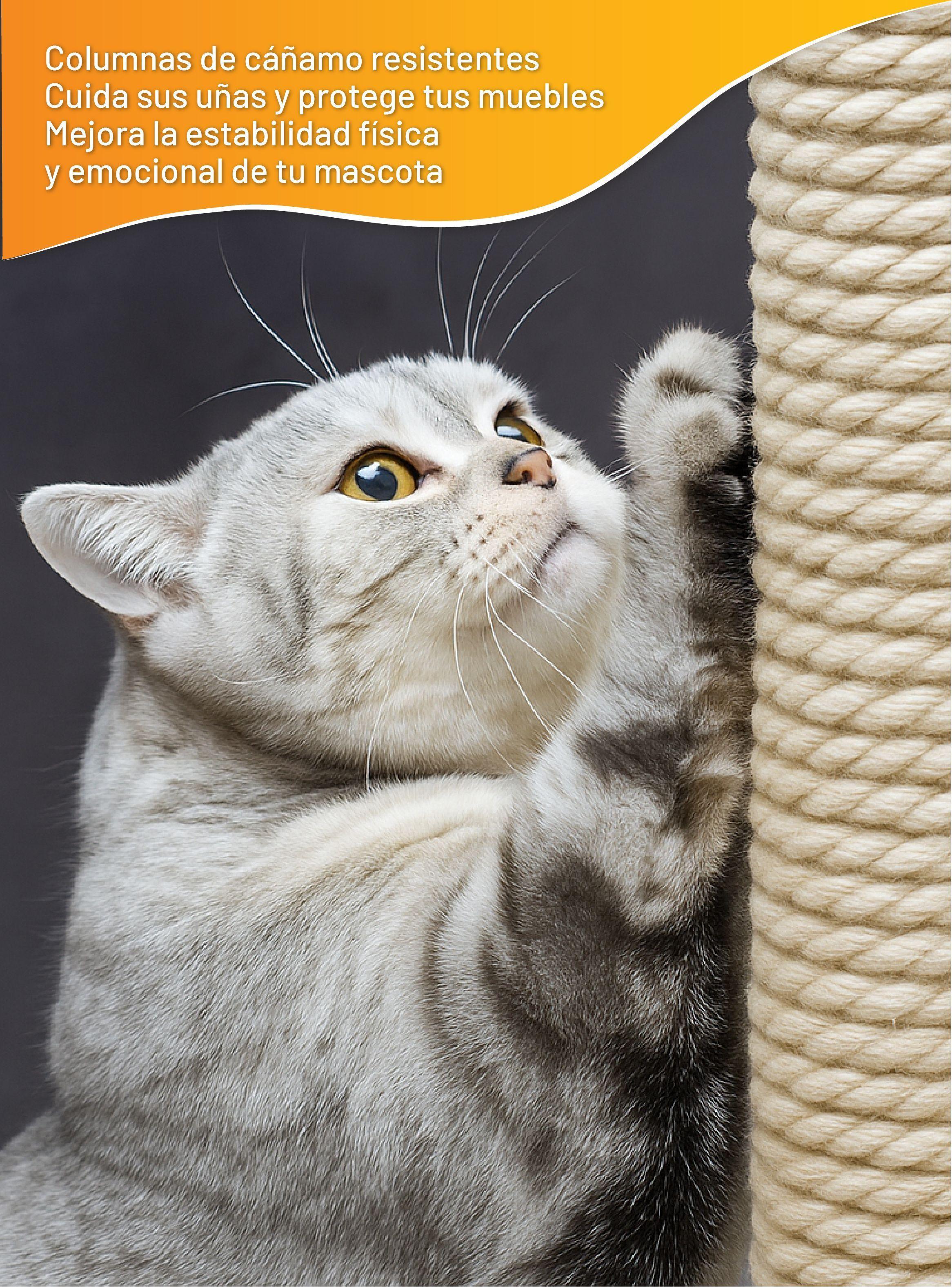 Rascador para gatos con hamaca 135x55x36 Petwoow-5