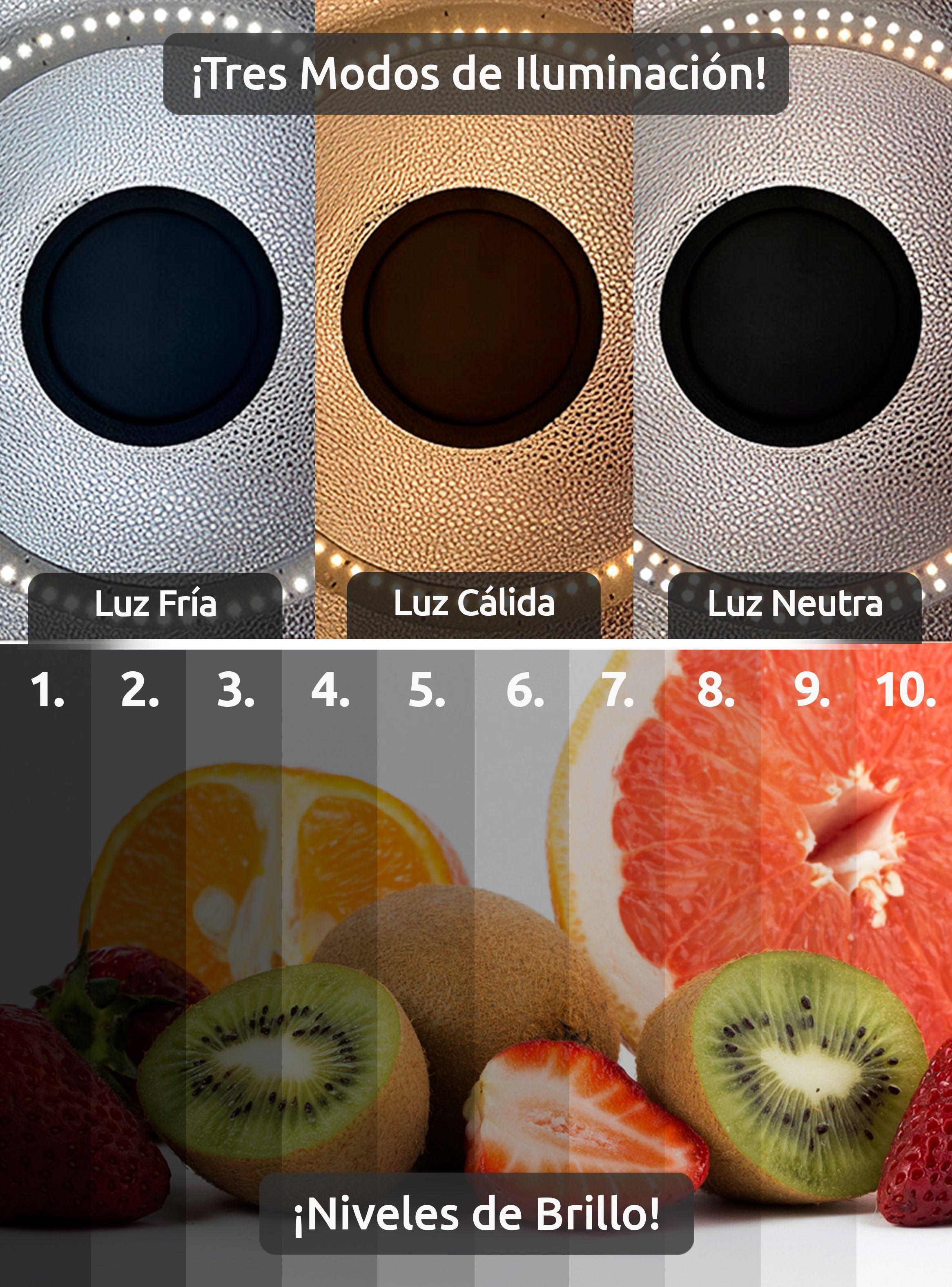 Estudio fotográfico portátil luz led full accesorios-2