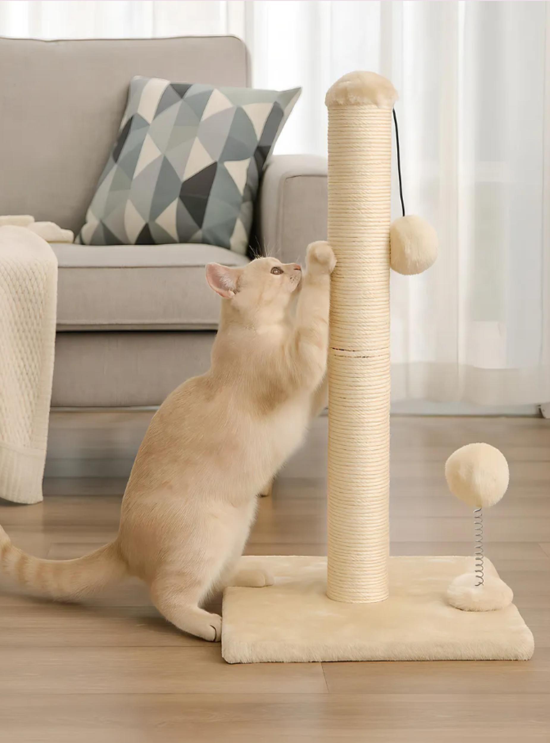 Rascador gimnasio para gatos 56x30x30-7