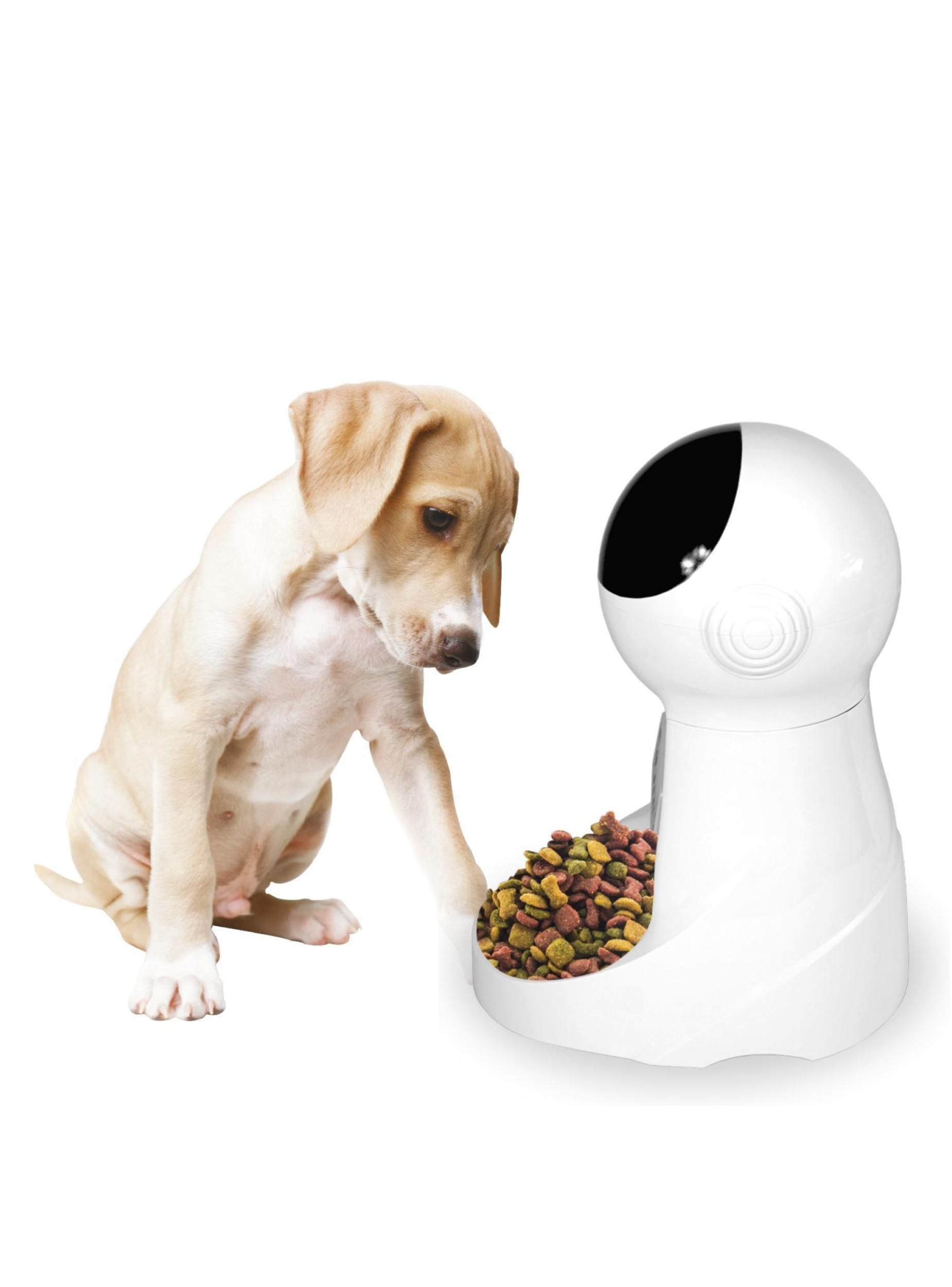 Dispensador de Alimentos Mascotas con Parlante-5