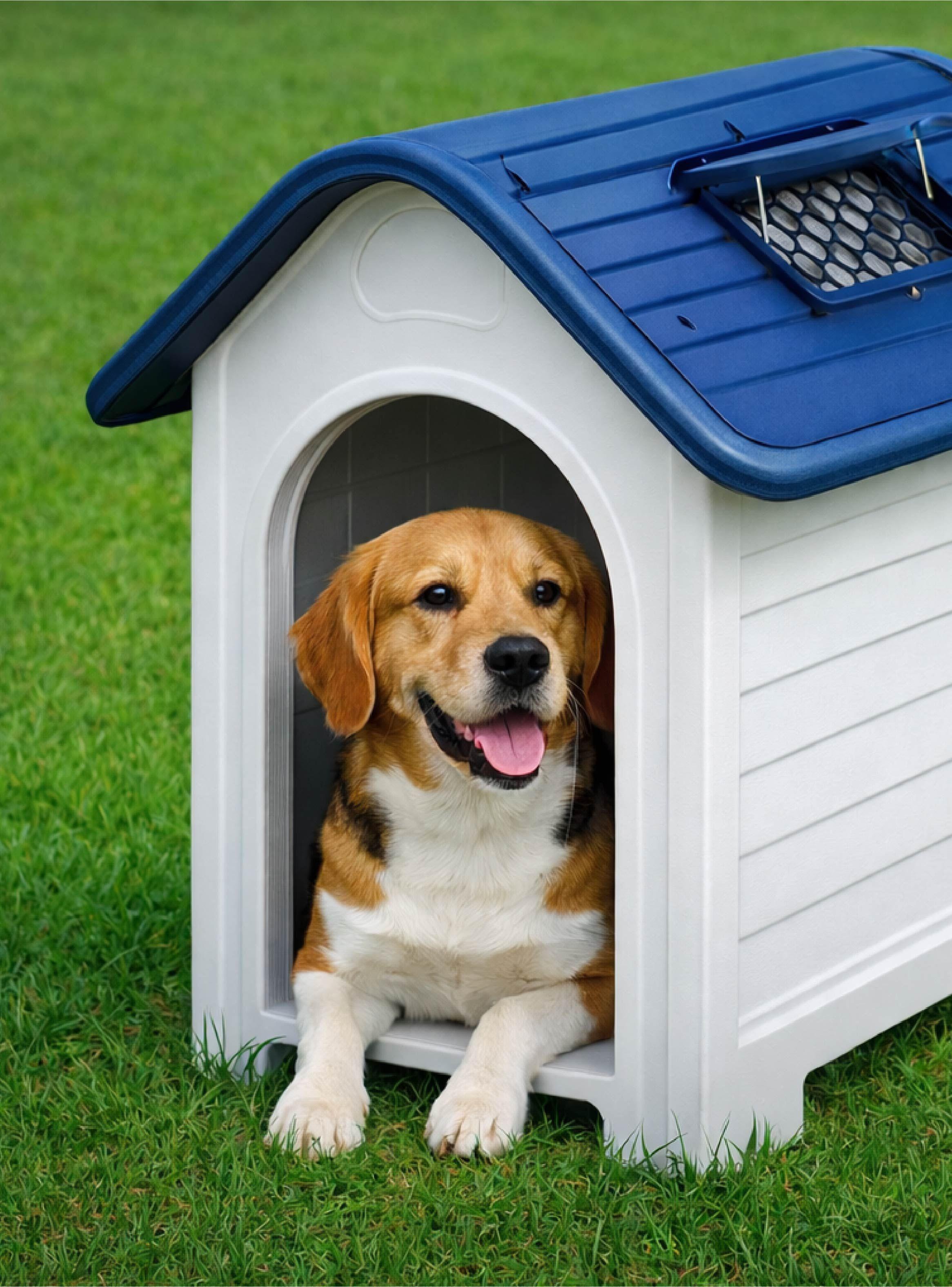 Casa de perro mascota skylight 75x59x66 M-6