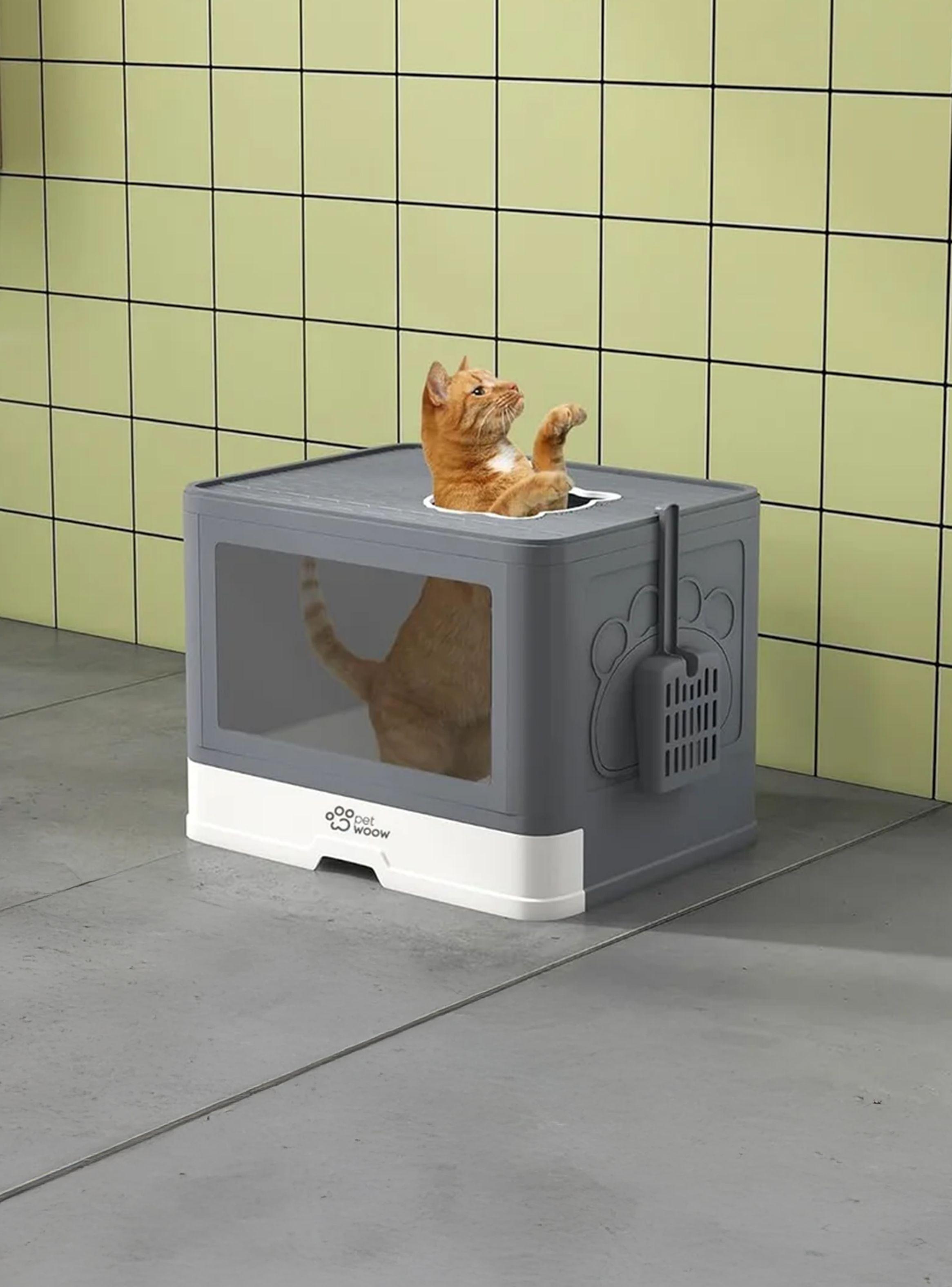 Arenero Gatos Cuadrado 48x36x38 Petwoow-7