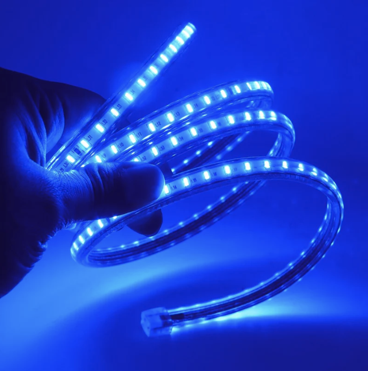 Cinta LED Azul SMD 2835 Rollo 100 m con Adhesivo IP54-3