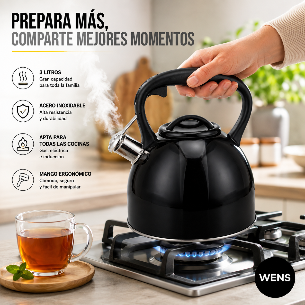 Tetera Acero Inoxidable Negra 3L Selene Wens-1