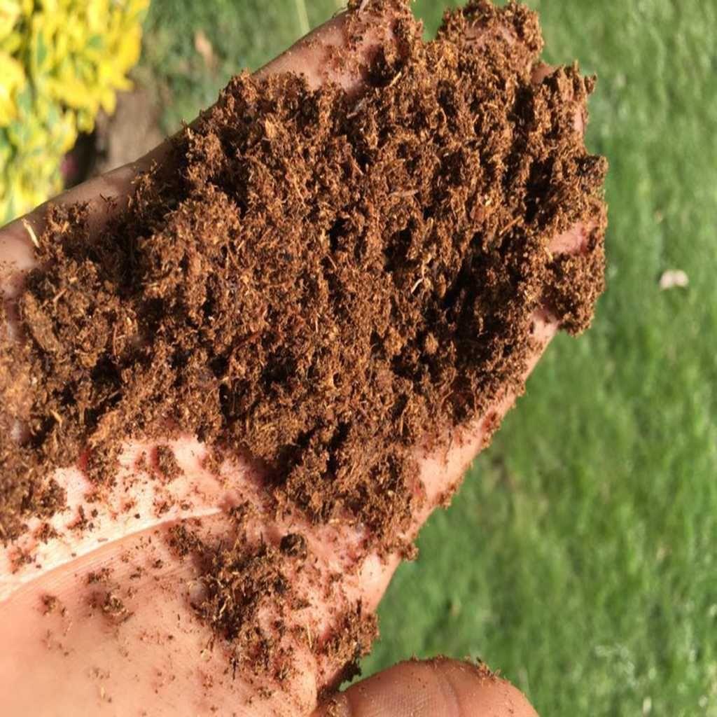 Turba Rubia / Parda Tipo Sphagnum 5 Litros-3