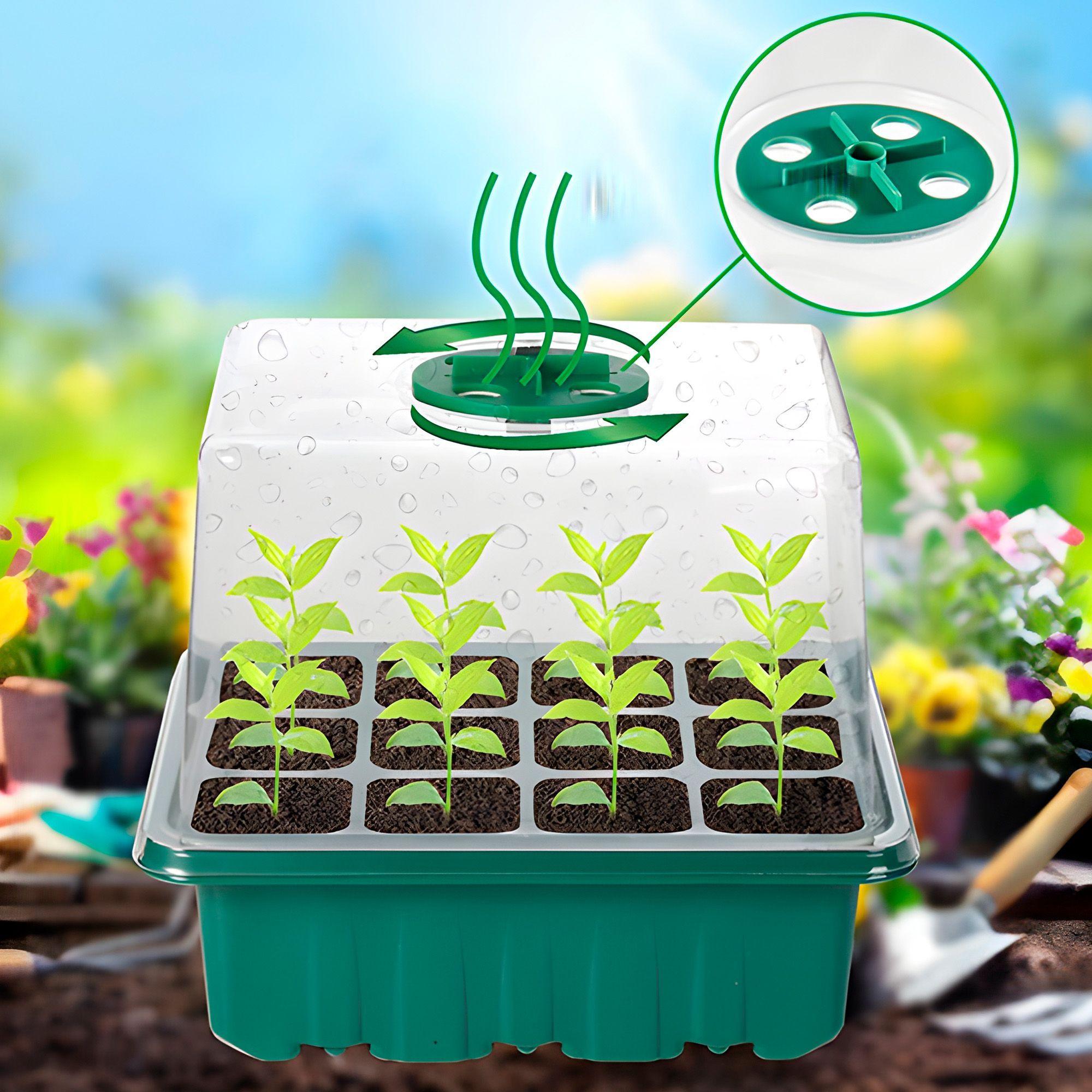 Germinador De Semillas - Mini Invernadero -  Almaciguera-2