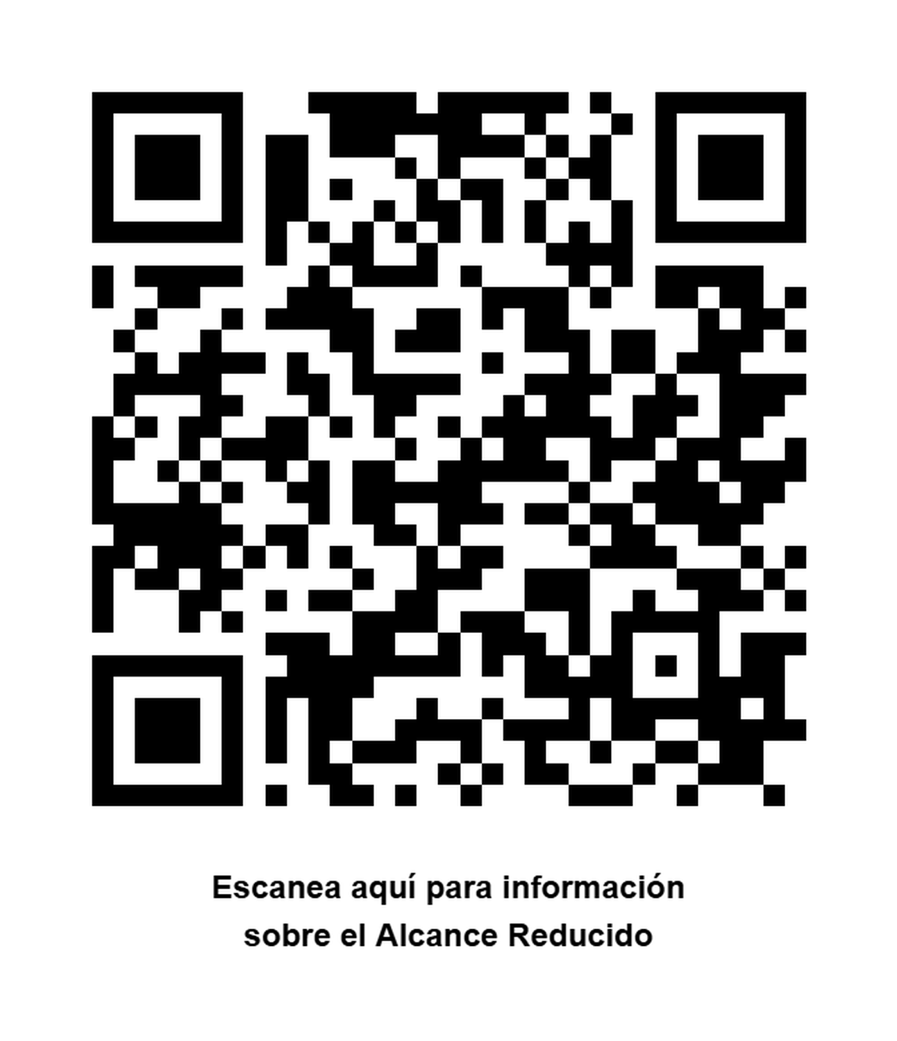 Parlante Inalámbrico 30W Sin Microfono Negro B14P Lity-9