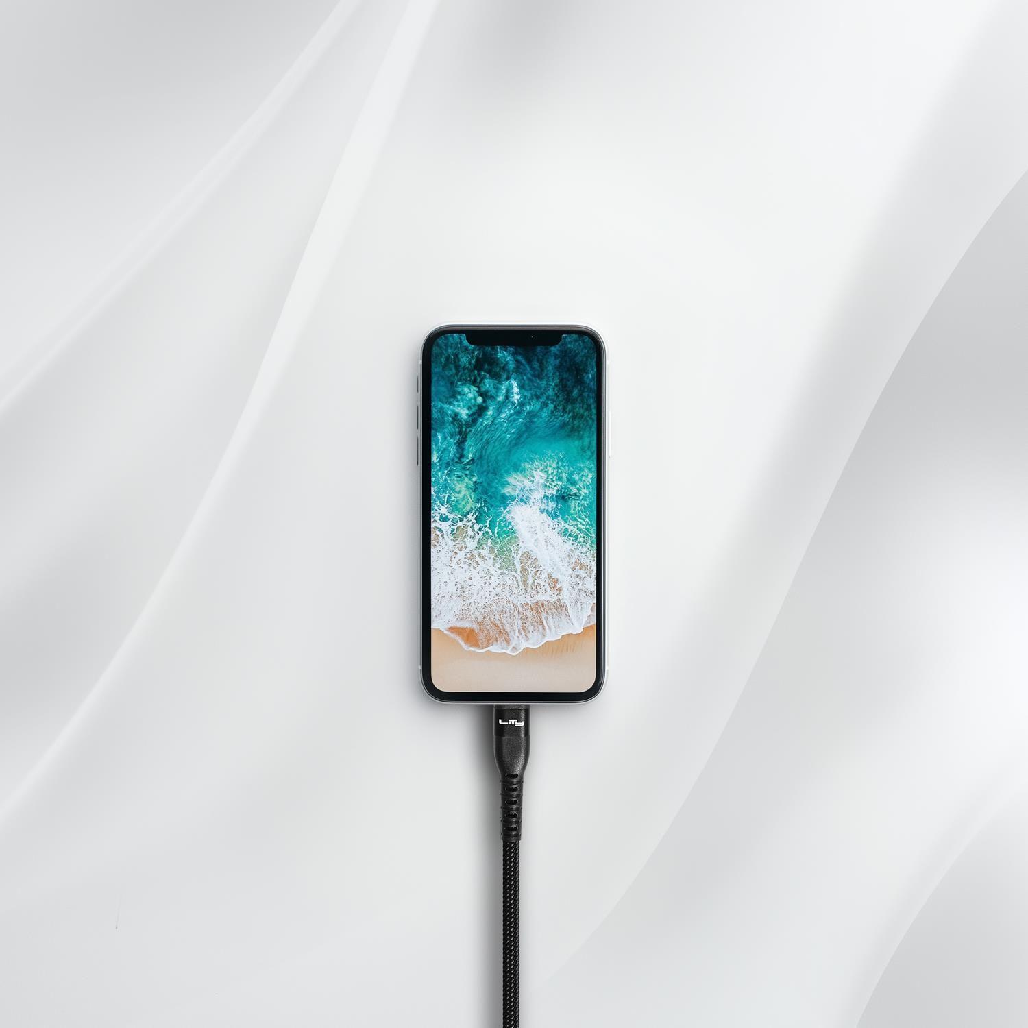 Cable de Carga USB-A/USB-C - 2.4A 2M Negro C11P Lity-4