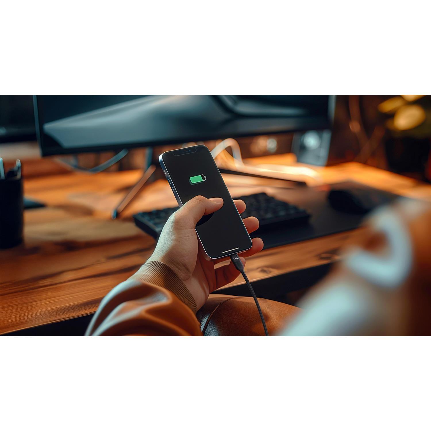 Cable de Carga USB-C/USB-C - 3A 60W 2M Negro C12P Lity-5