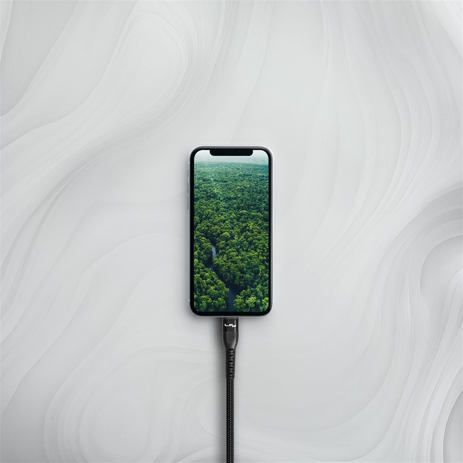 Cable de Carga USB-C/USB-C - 3A 60W 2M Negro C12P Lity-8