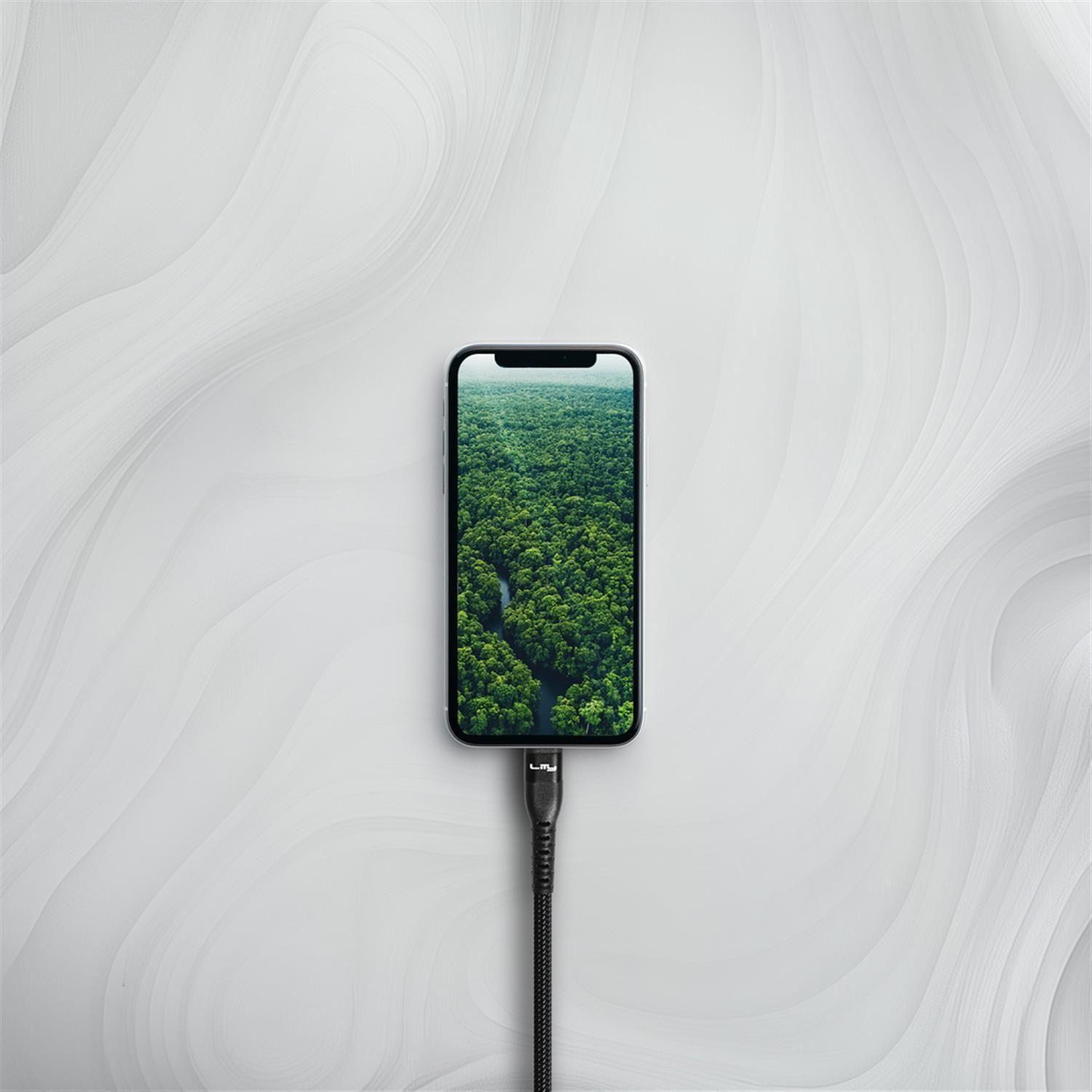 Cable USB-C a USB-C 60W/3A 2 Metros Negro C12P Lity-8