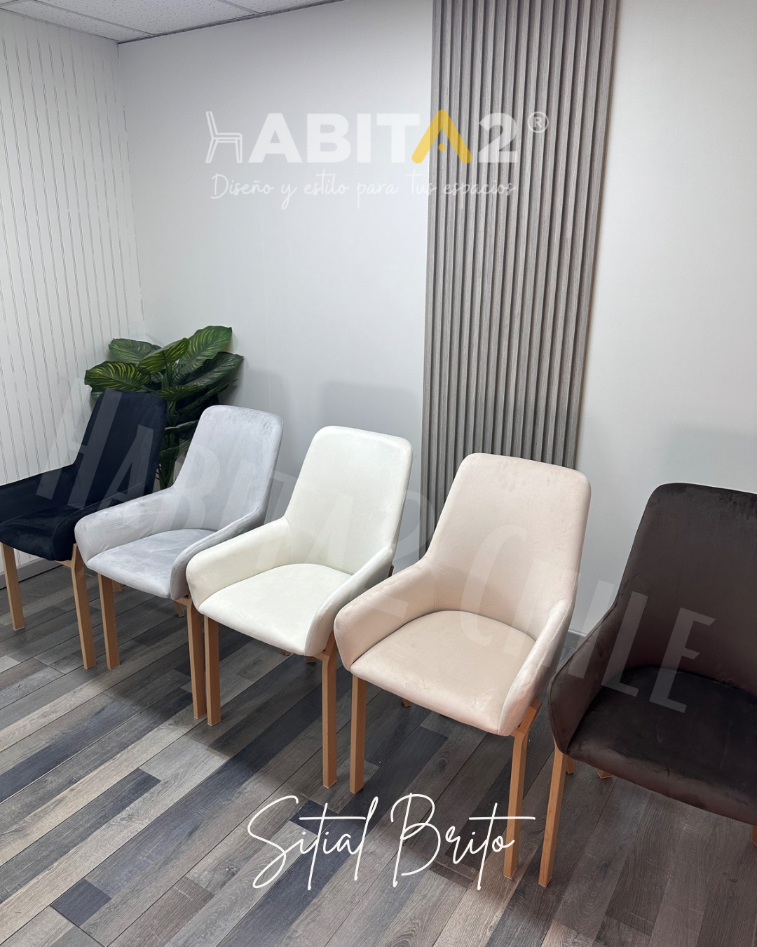 PACK 2 SILLAS ACOLCHADAS DE COMEDOR BRITO CON APOYABRAZOS-3