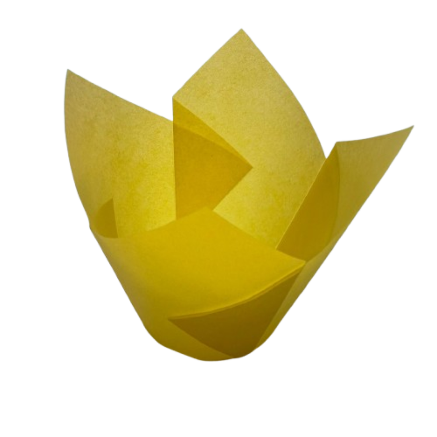 Tulipa Para Muffin Amarillo 50un Diametro 5cm Alto 6cm-0