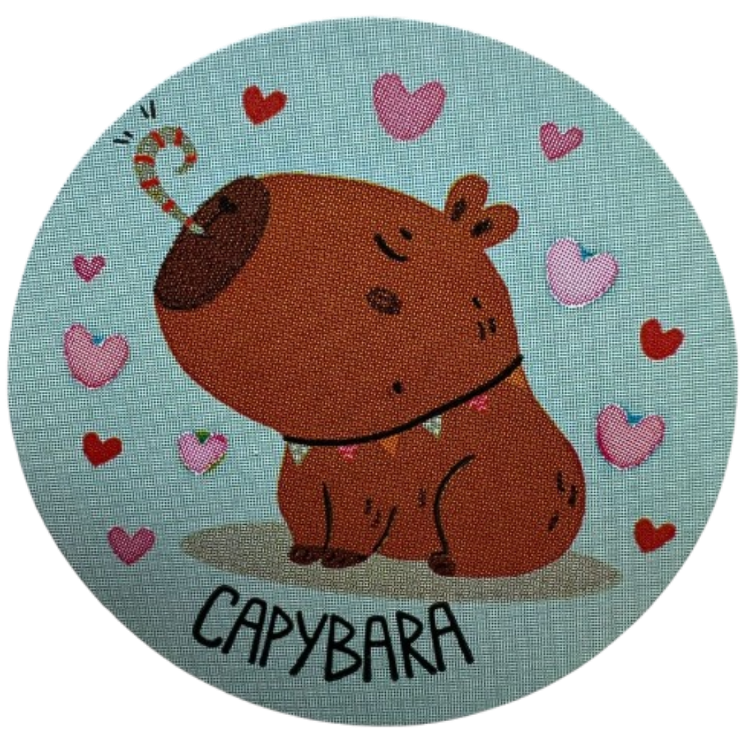 Sticker Capibara 6 Diseños 38mm 100un-2
